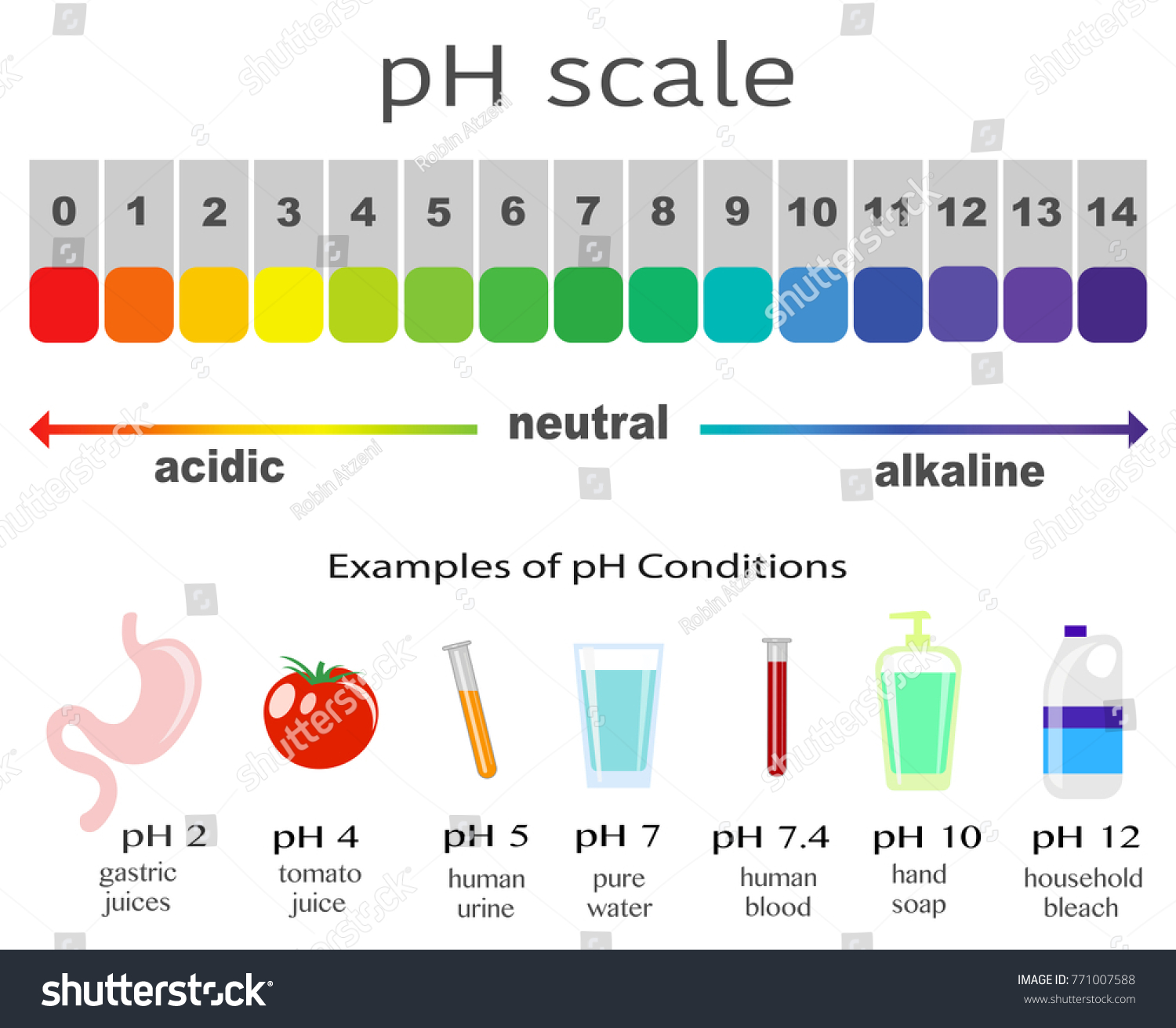 Scale Ph Value Acid Alkaline Solutions Stock Vector HD (Royalty Free ...