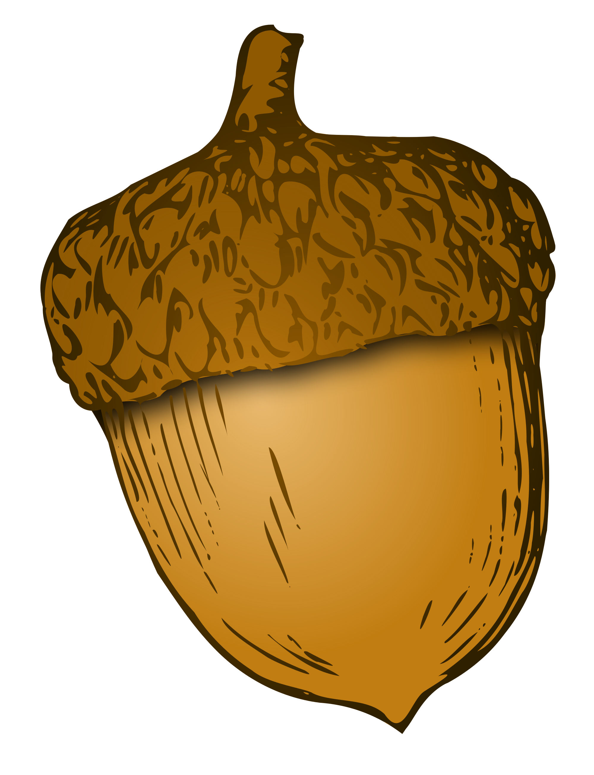 File:WikiVoc-acorn-1.svg - Wikimedia Commons