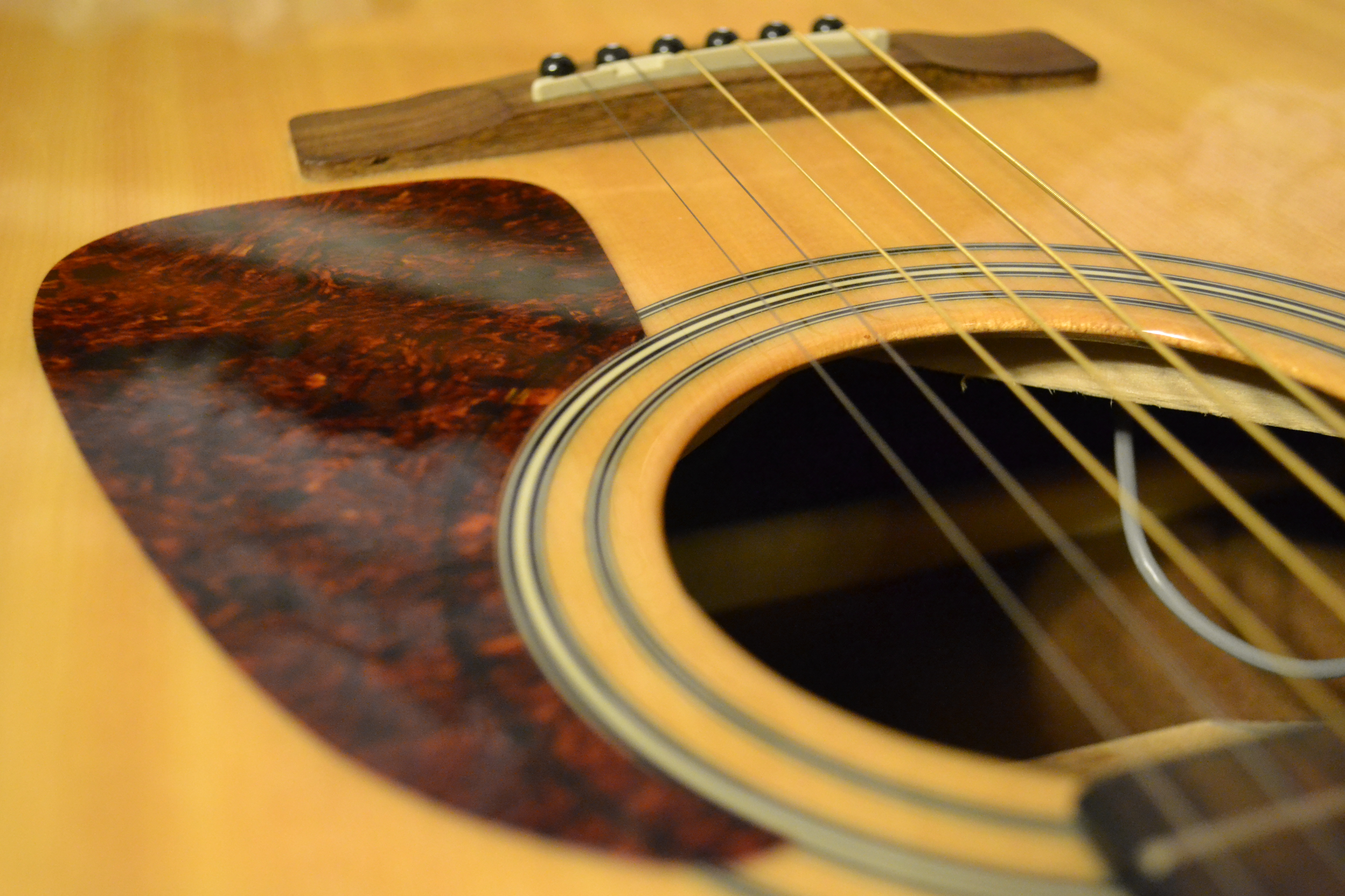 Acoustic guitar pickup, Acoustic, Body, Bridge, Guitar, HQ Photo