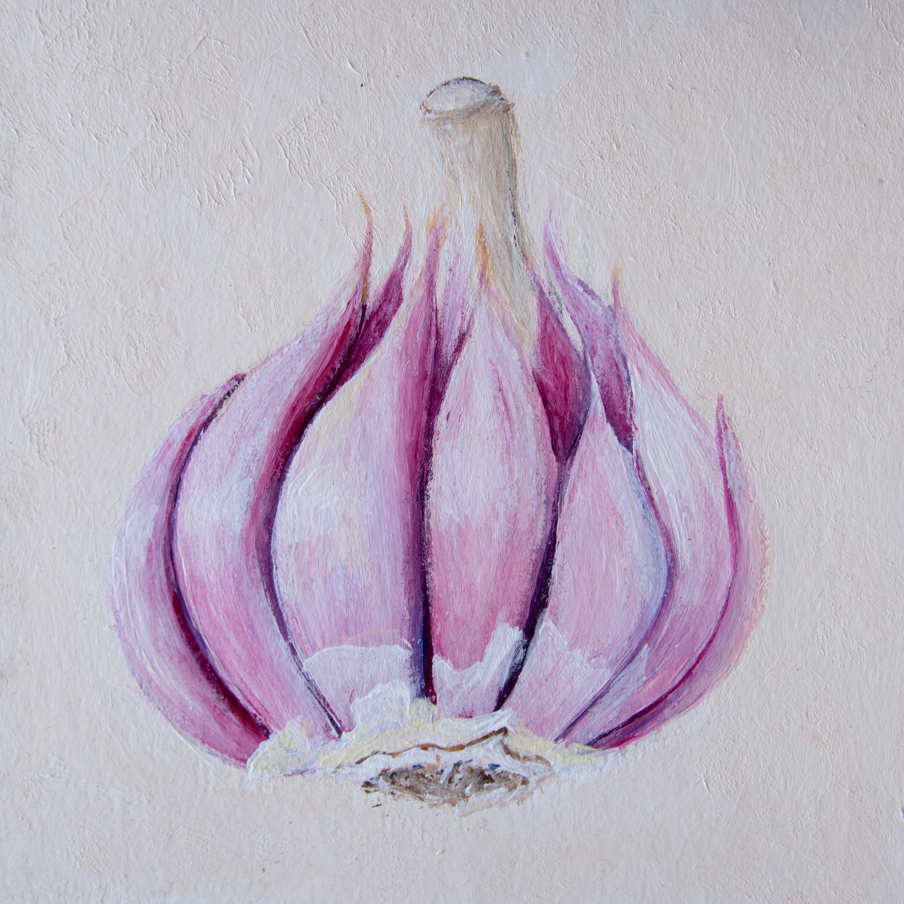 Acrylic painting of a garlic photo