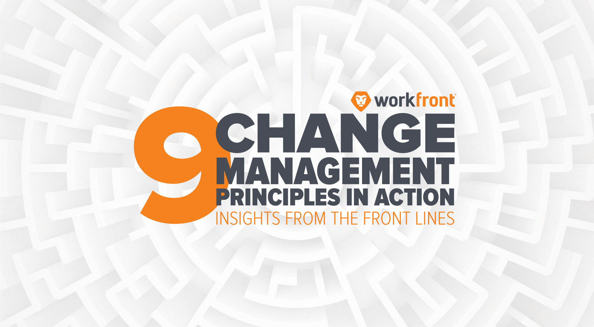9 Change Management Principles in Action: Insight from the Front Lines