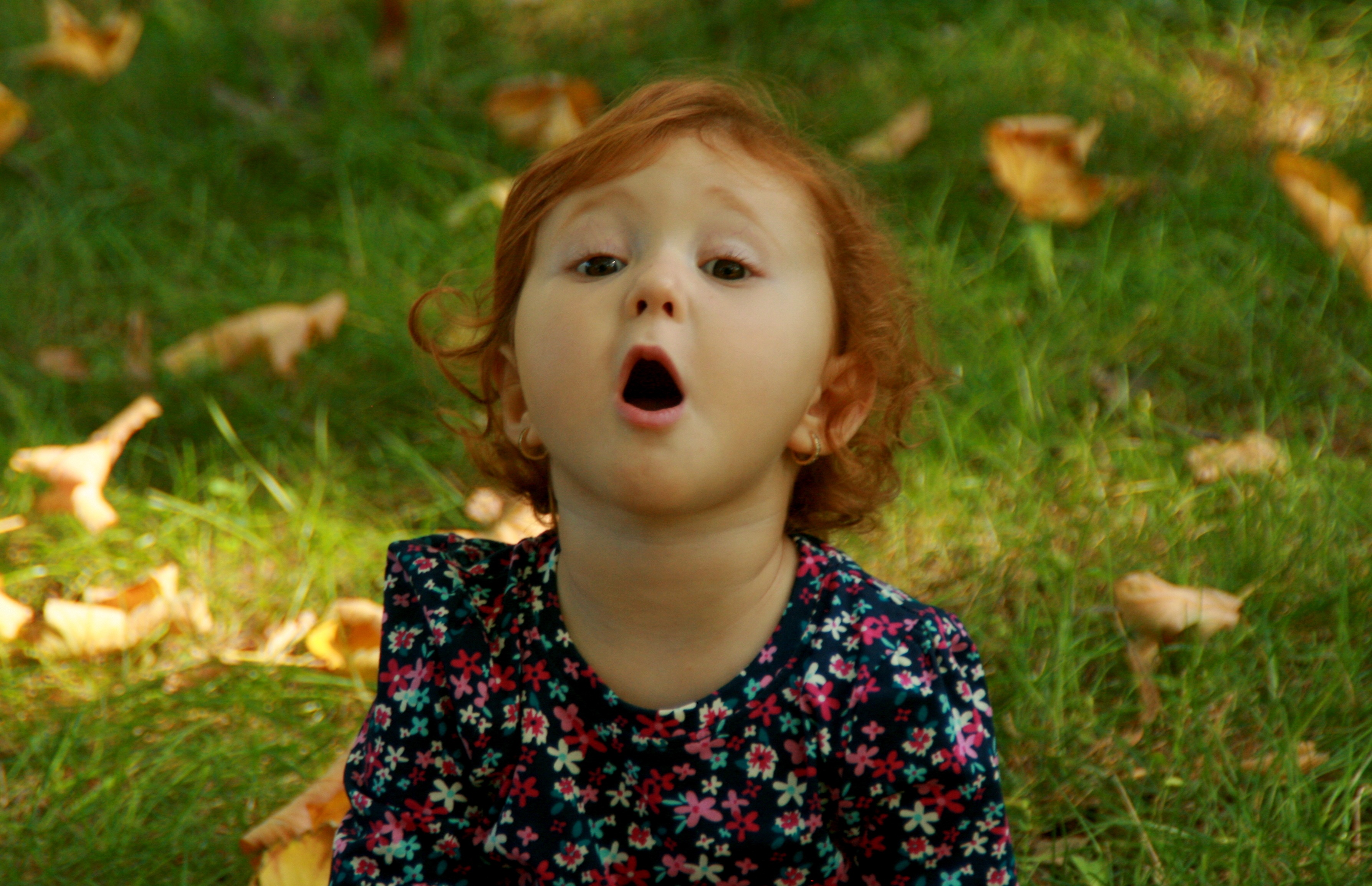 Портрет ребенка картинка с открытым ртом. Удивление в лесу