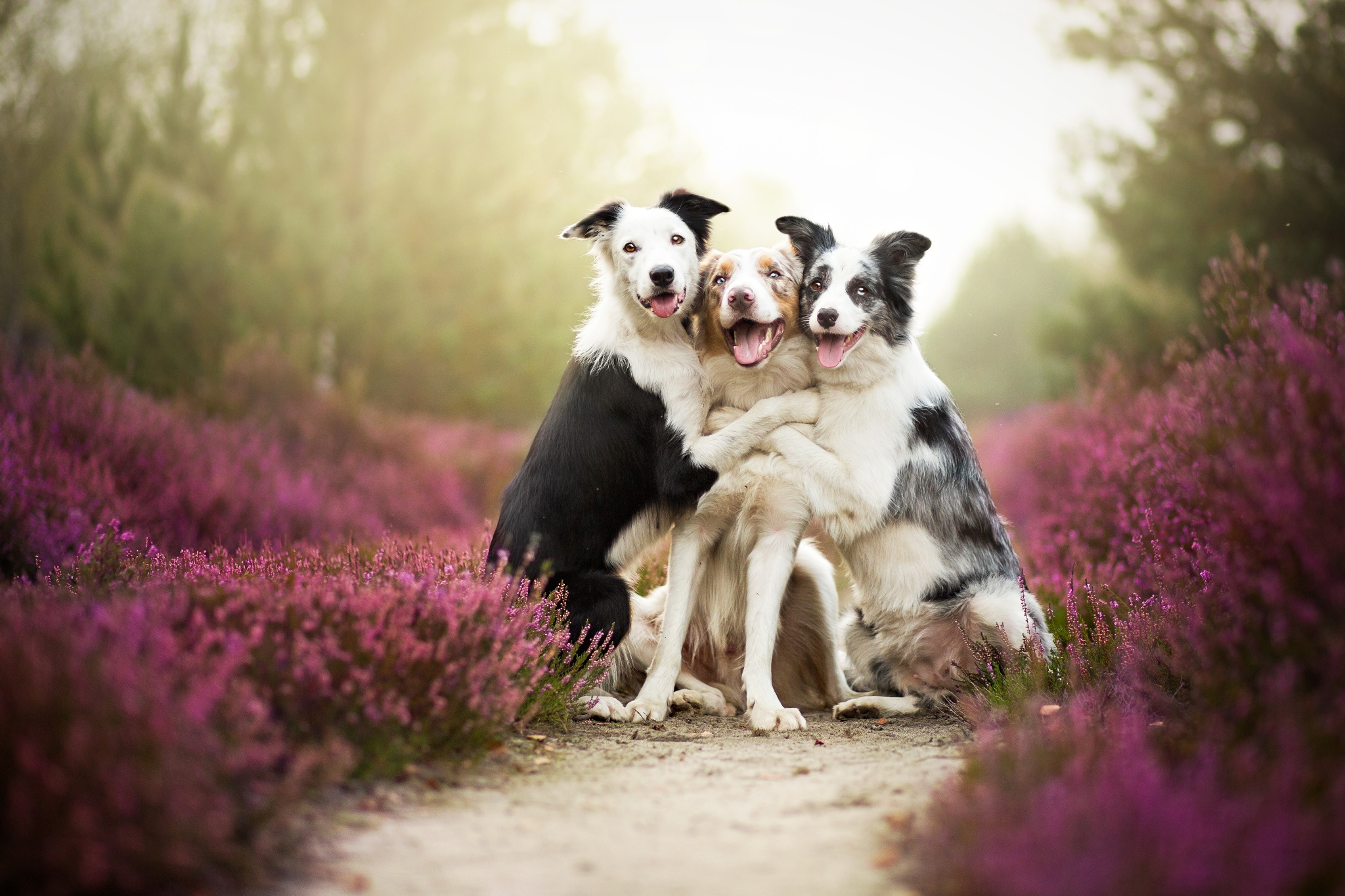 500px Blog » The passionate photographer community. » 30 Adorable ...