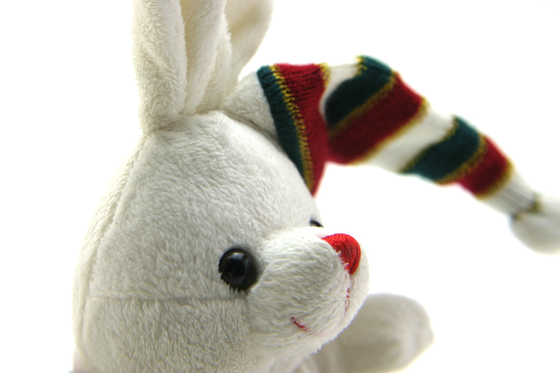 Adorable generic stuffed bunny photo
