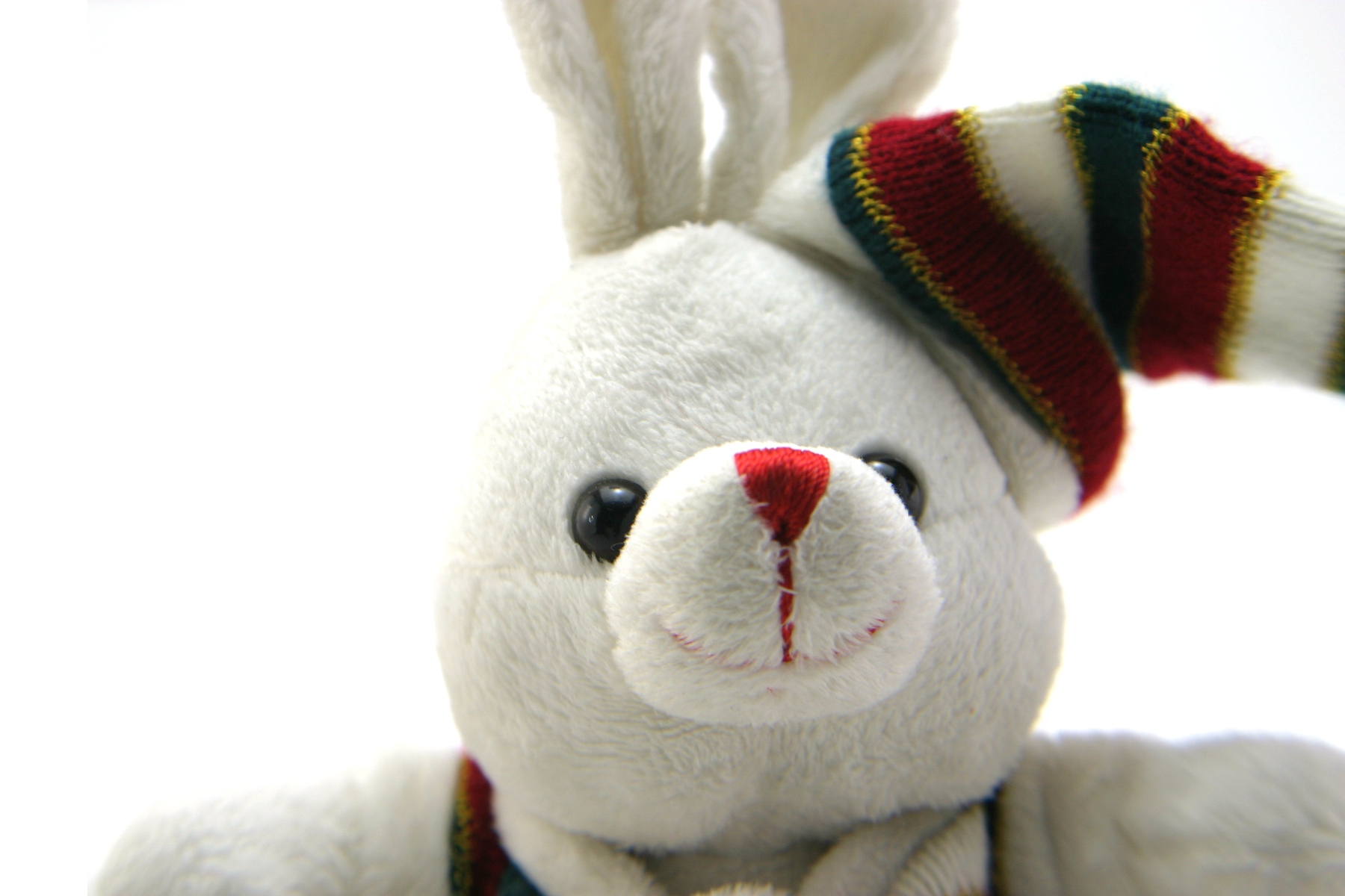 Adorable generic stuffed bunny, Adorable, Religion, Holiday, Isolated, HQ Photo