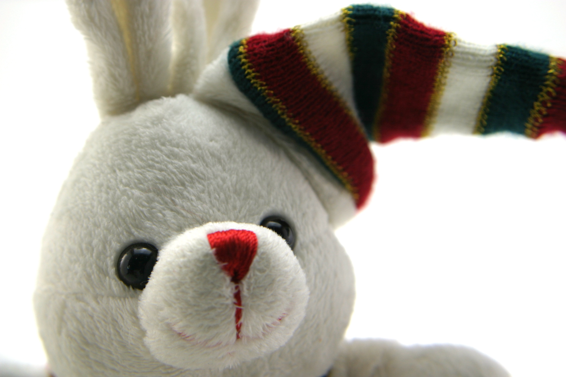Adorable generic stuffed bunny, Adorable, Red, Holiday, Isolated, HQ Photo