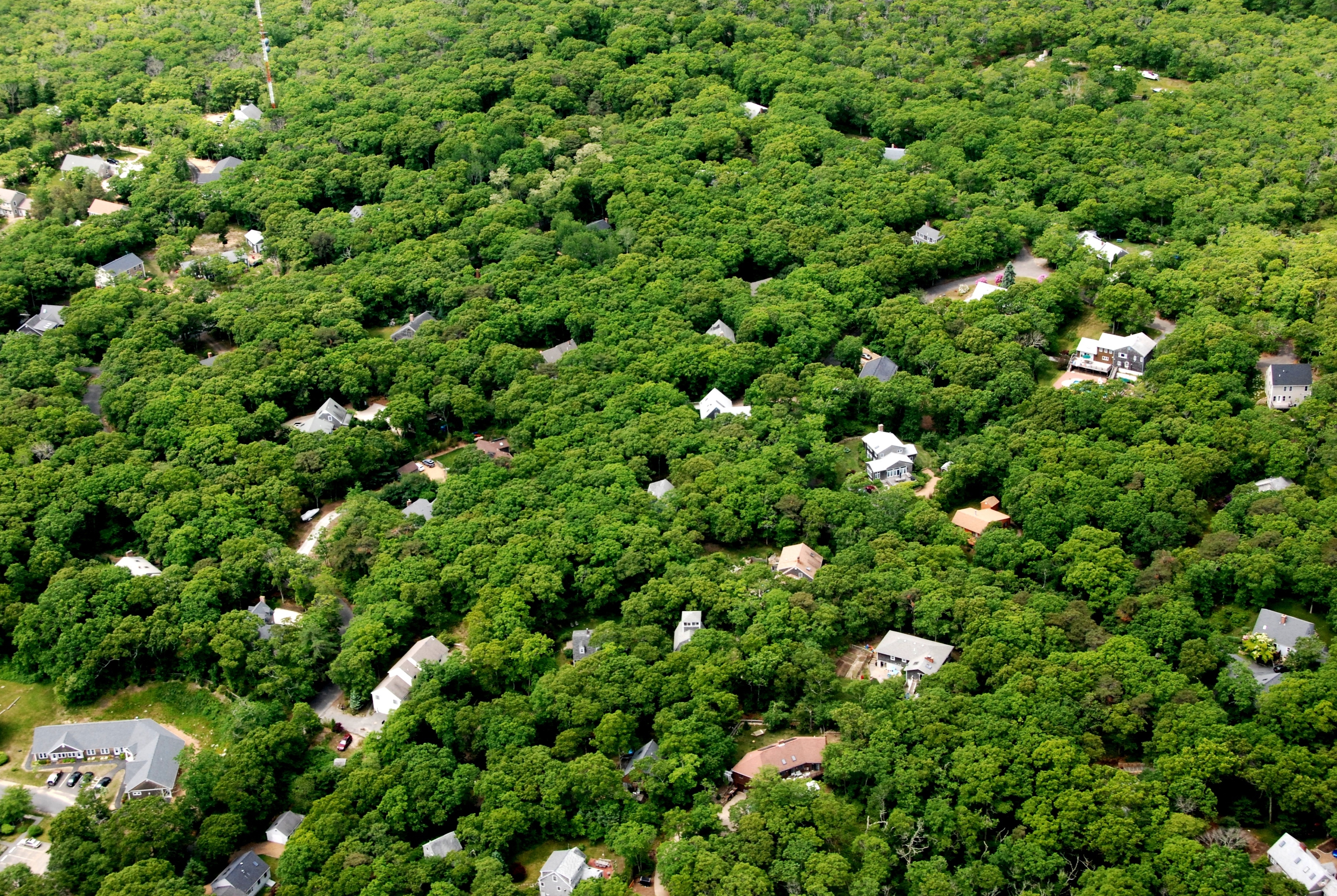 Aerial View Of Martha's Vineyard Showing Forest Perforation ...