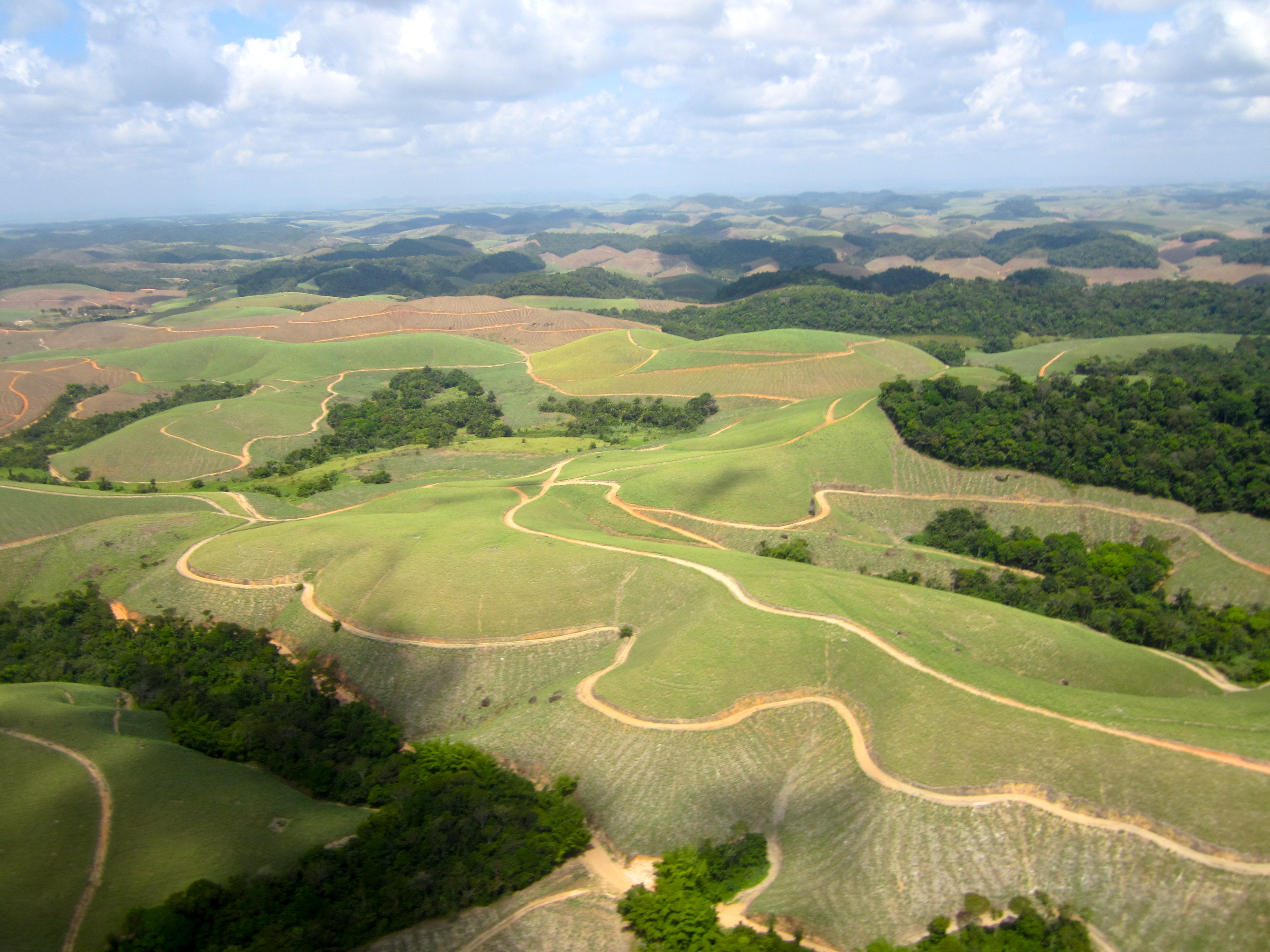 aerial view, sugar cane farm – 3rdculturechildren