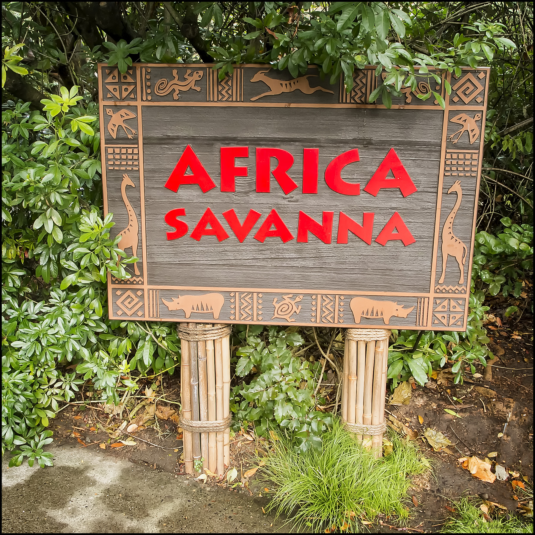Africa savanna sign photo