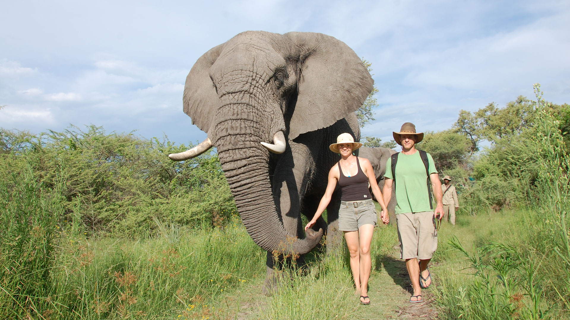 African Elephant Safaris & Holidays - Natural World Safaris