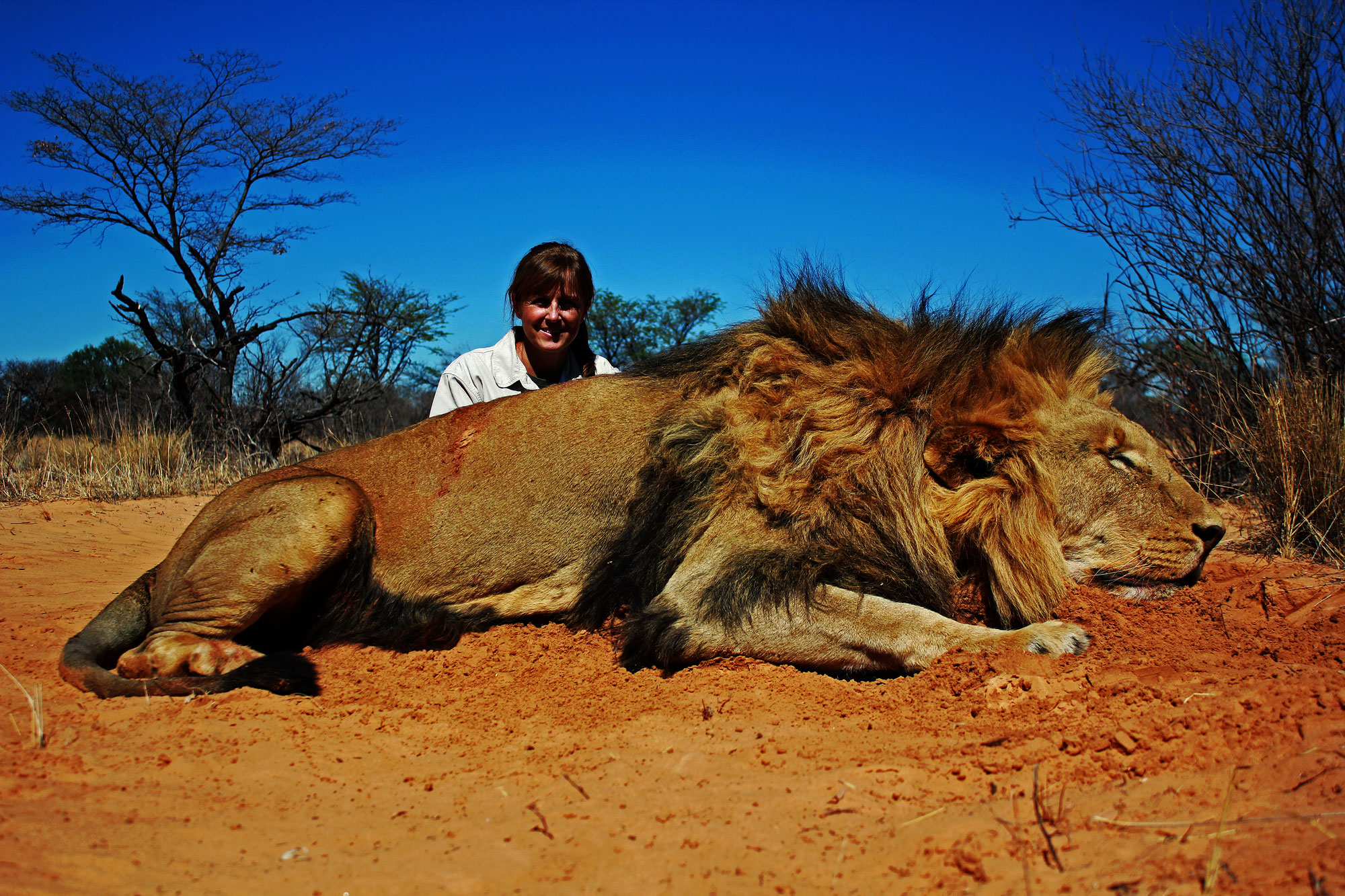 African lion hunting safari packages South Africa with Mkulu Safaris