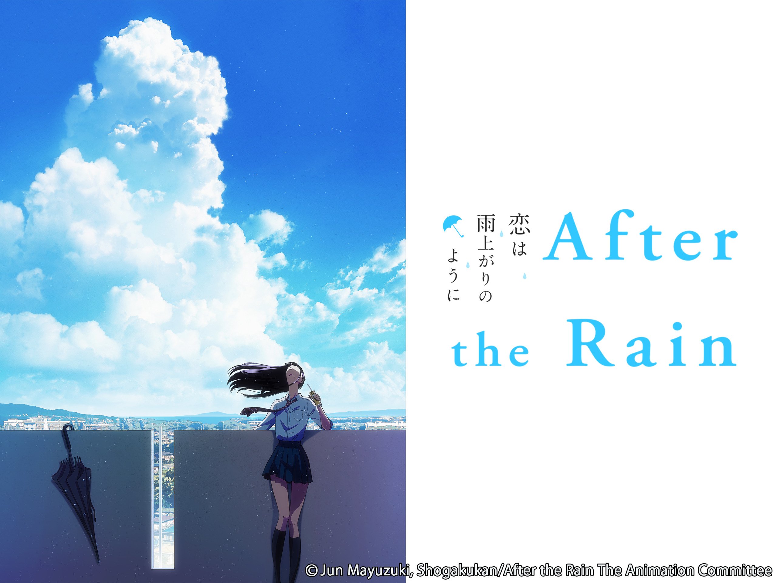 Amazon.com: After the Rain: Sayumi Watabe, Hiroaki Hirata, Emi ...