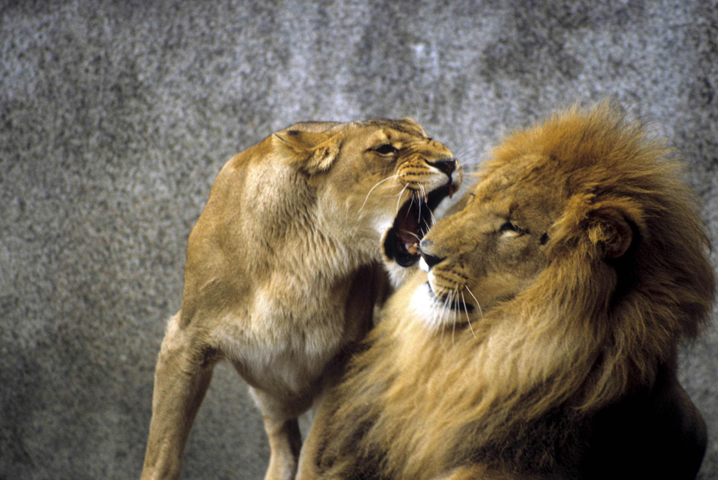 Are you being aggressive? 12 signs of aggression you need to recognise