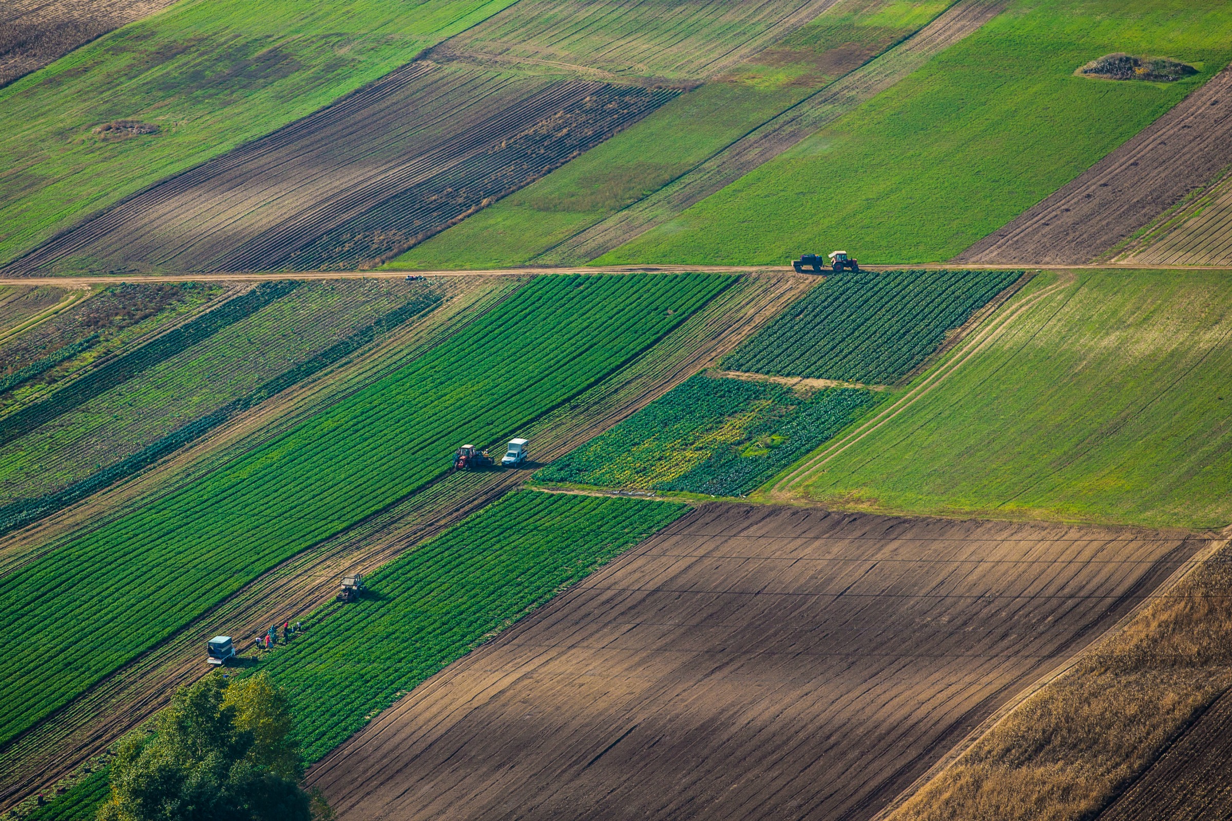 Land grabbing, still a huge problem in Eastern Europe – EURACTIV.com