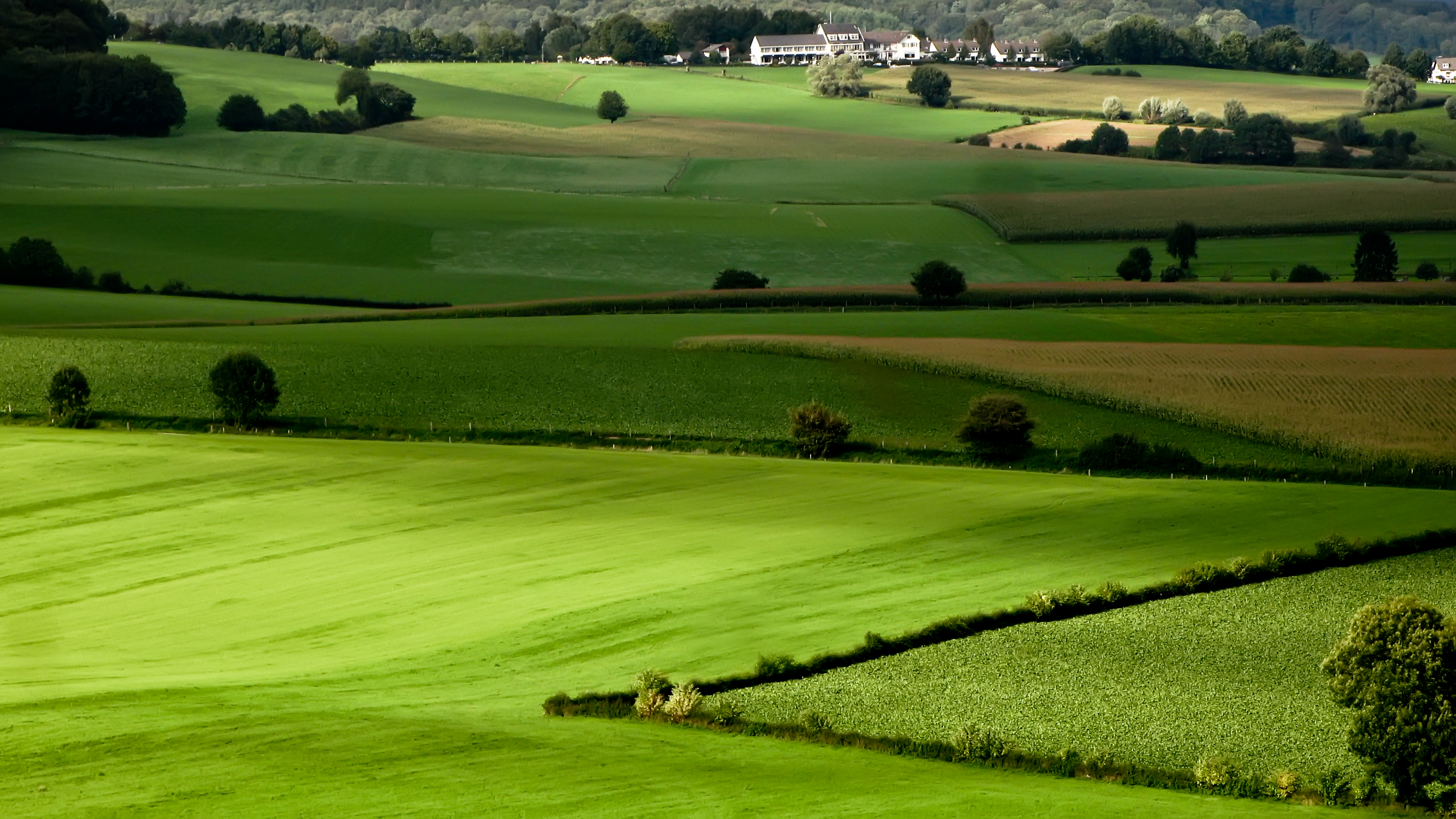 File:Agricultural landscape Mergelland.jpg - Wikimedia Commons