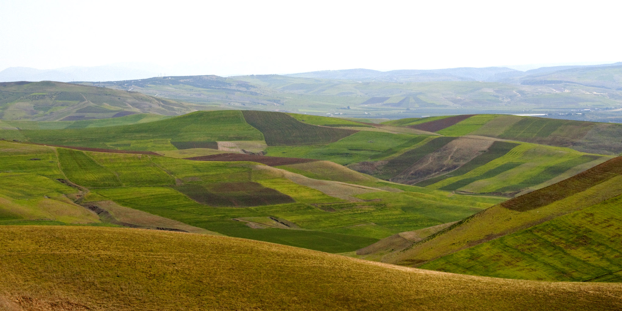 Free Photo Agricultural Landscape Agricultural Resource Natural 