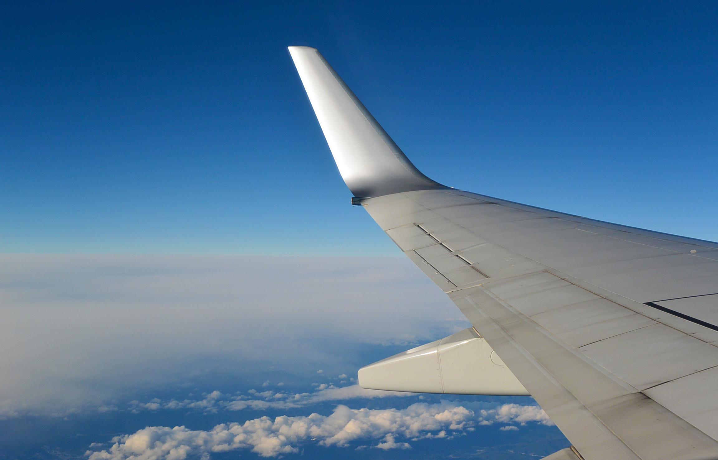 Brain Injury Blog: My First Airplane Flight Since my MTBI