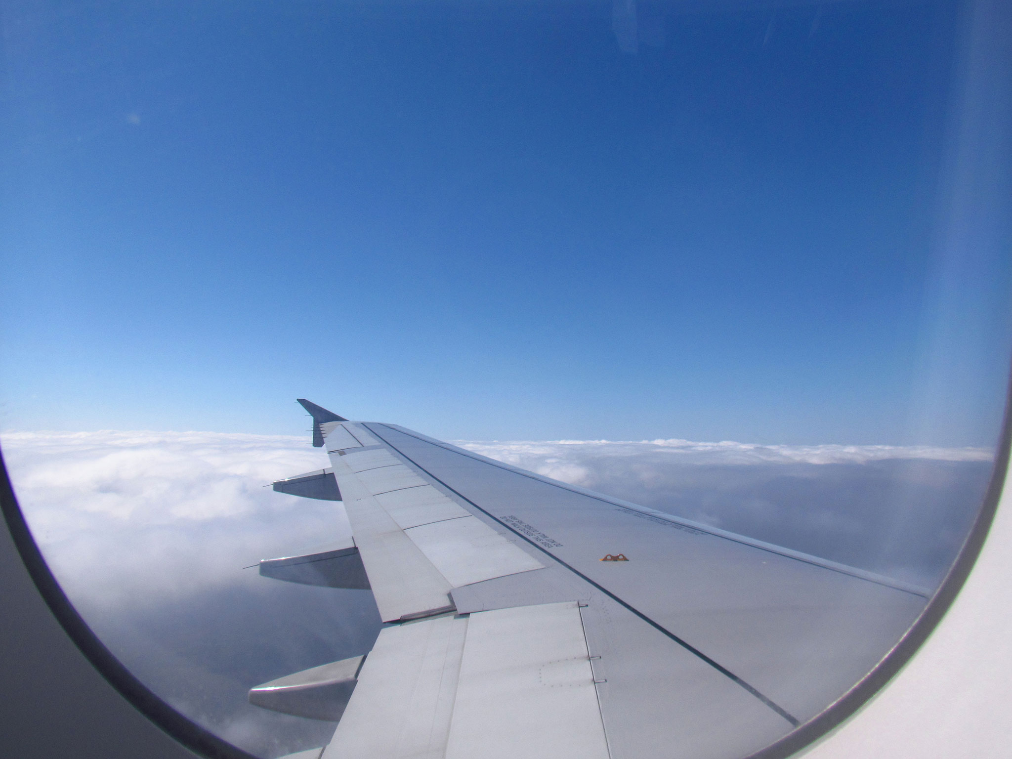 Airline staff reveal why window shades must be kept open during ...