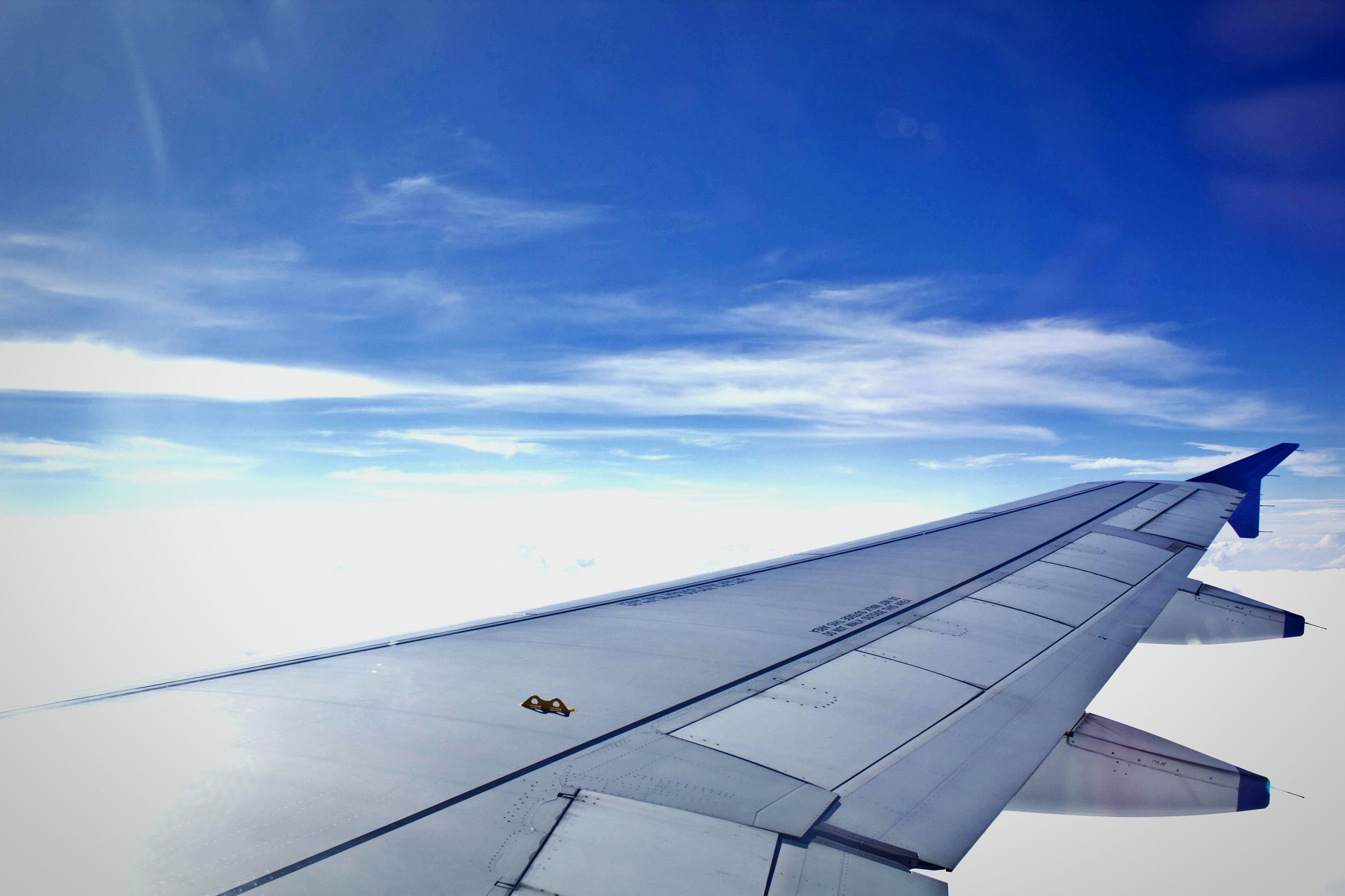 Airplane wing photo