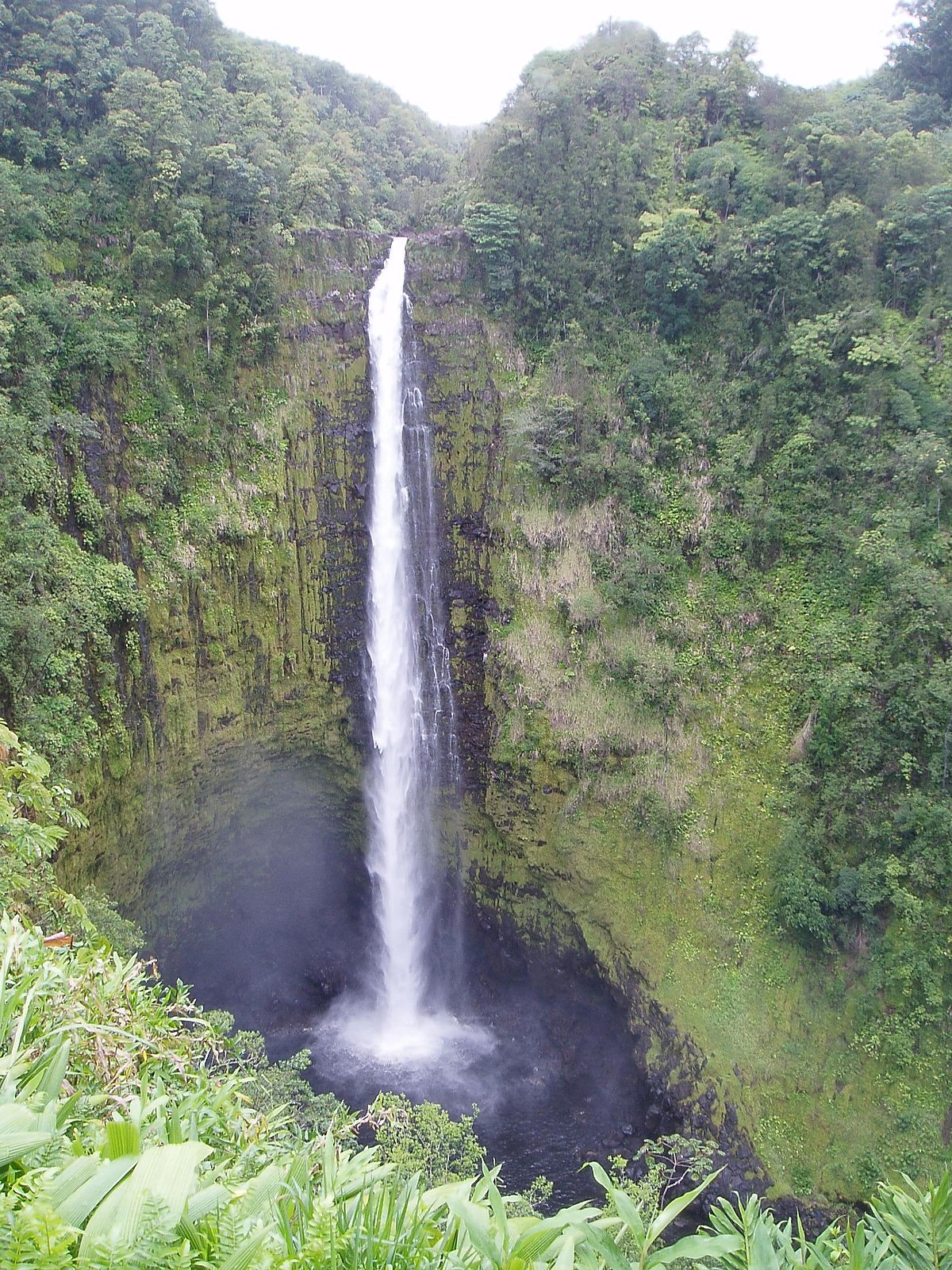 Akaka falls photo