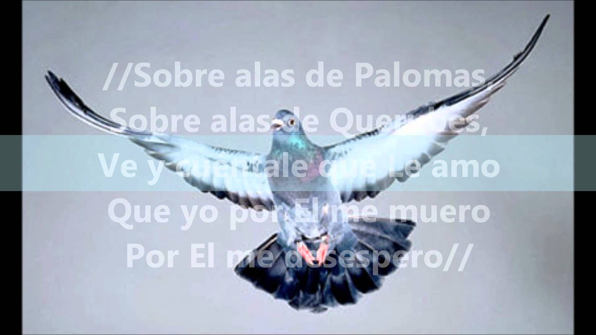 Sobre Alas de Paloma - YouTube