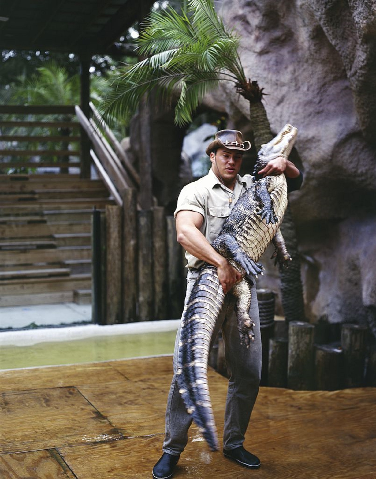 Alligator wrestler photo