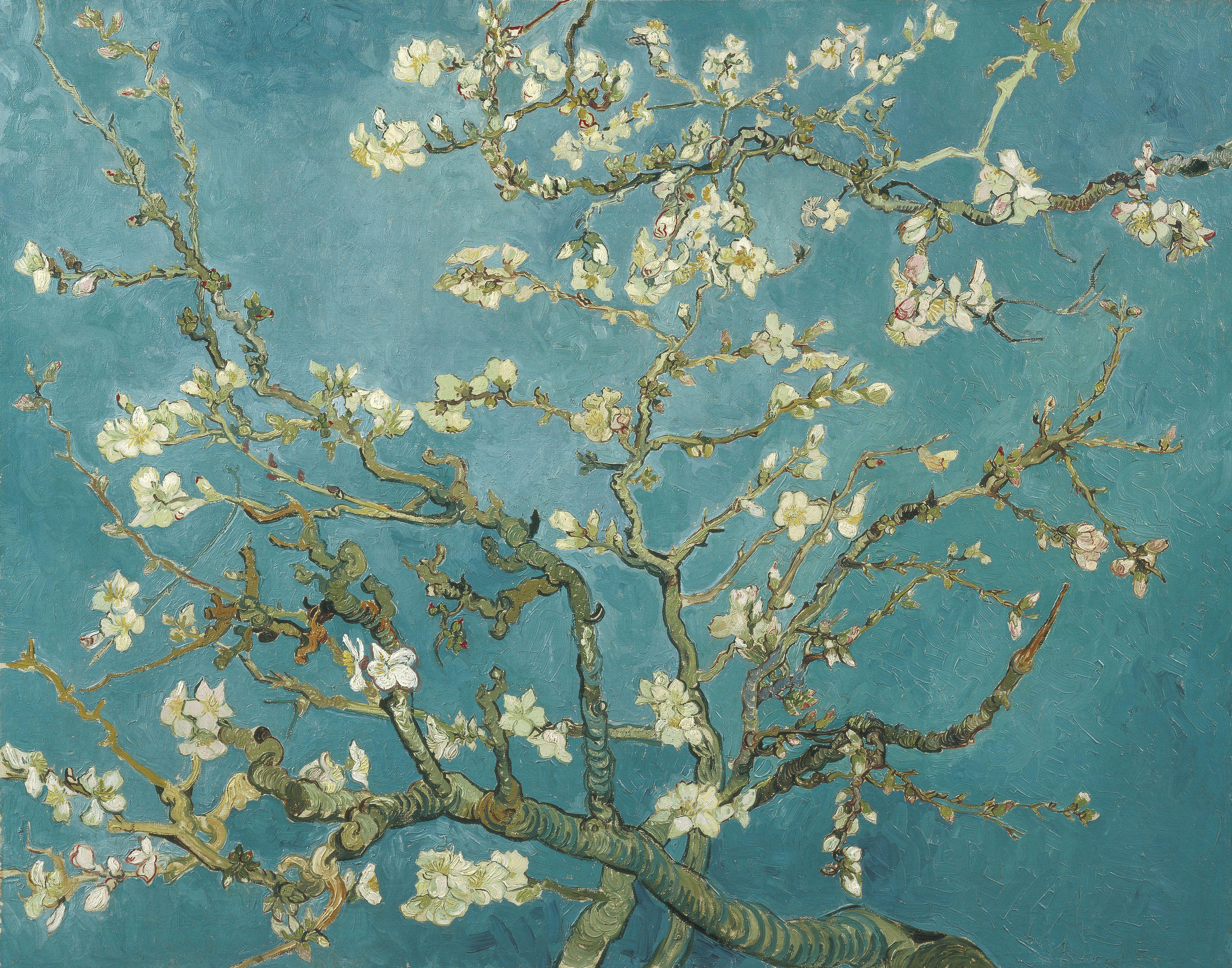 File:Vincent van Gogh - Almond Blossom - VGM F671.jpg - Wikimedia ...