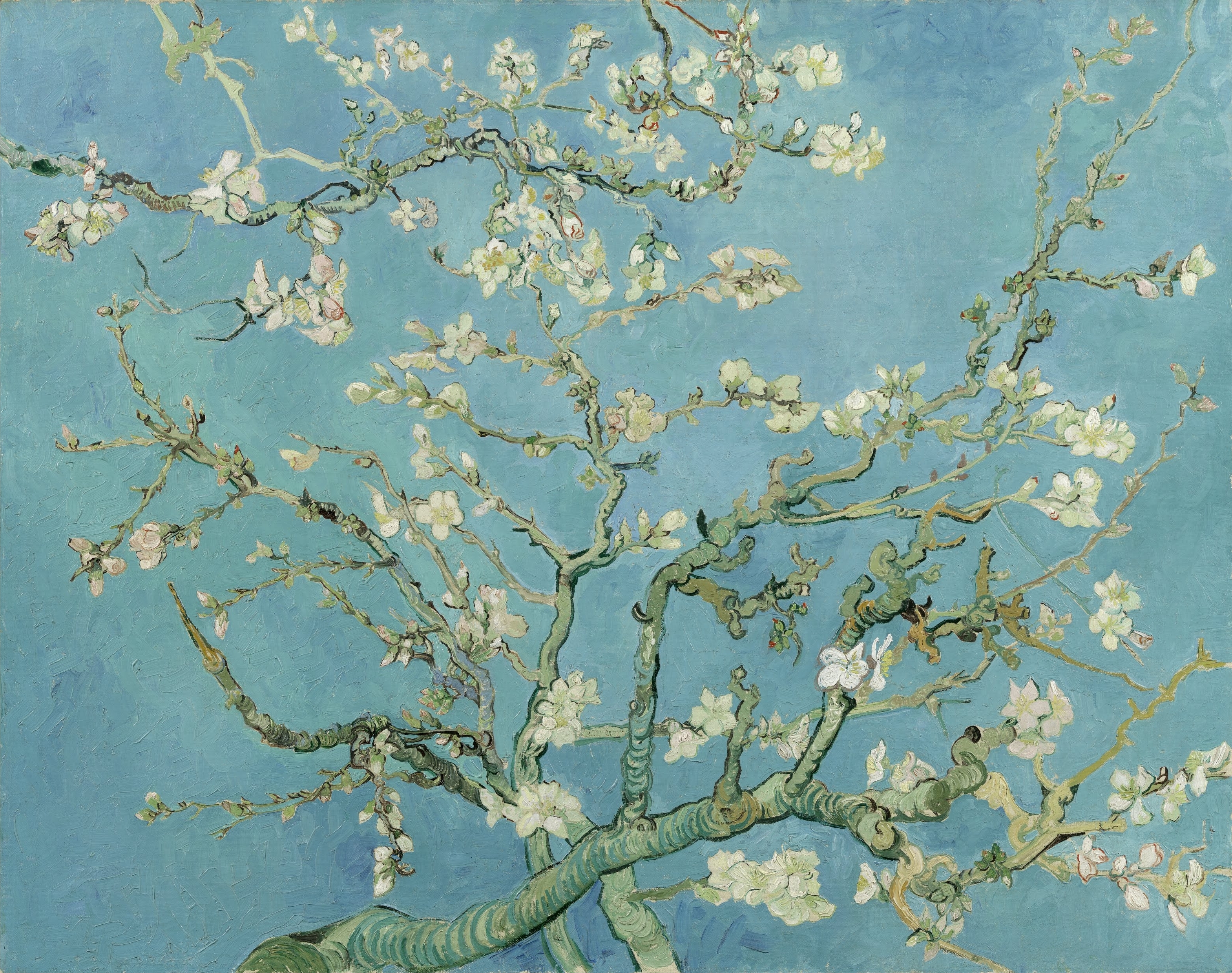 Image Gallery of Almond Blossoms Vincent Van Gogh Wall Art (View 12 ...