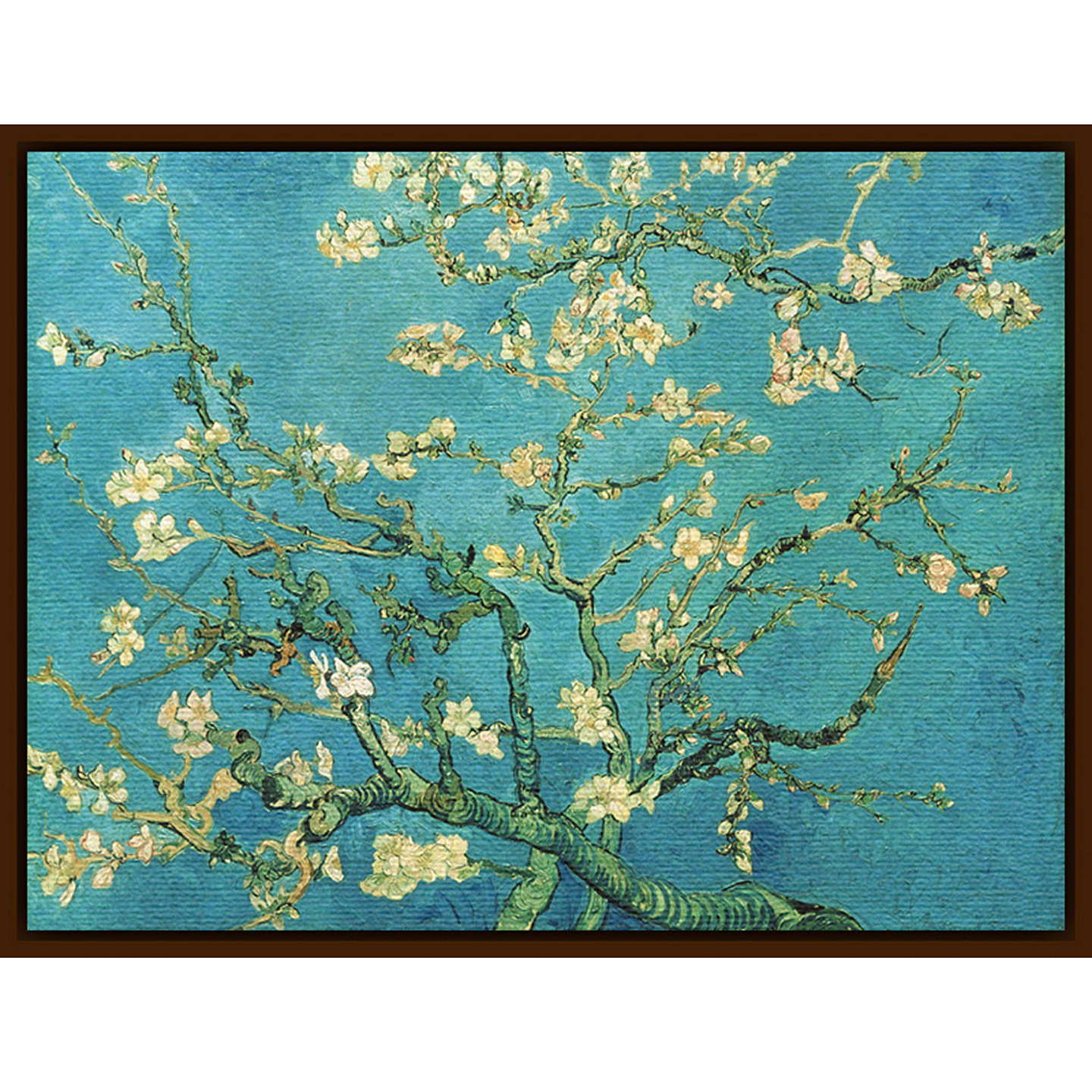 Van Gogh - Almond Blossom at John Lewis