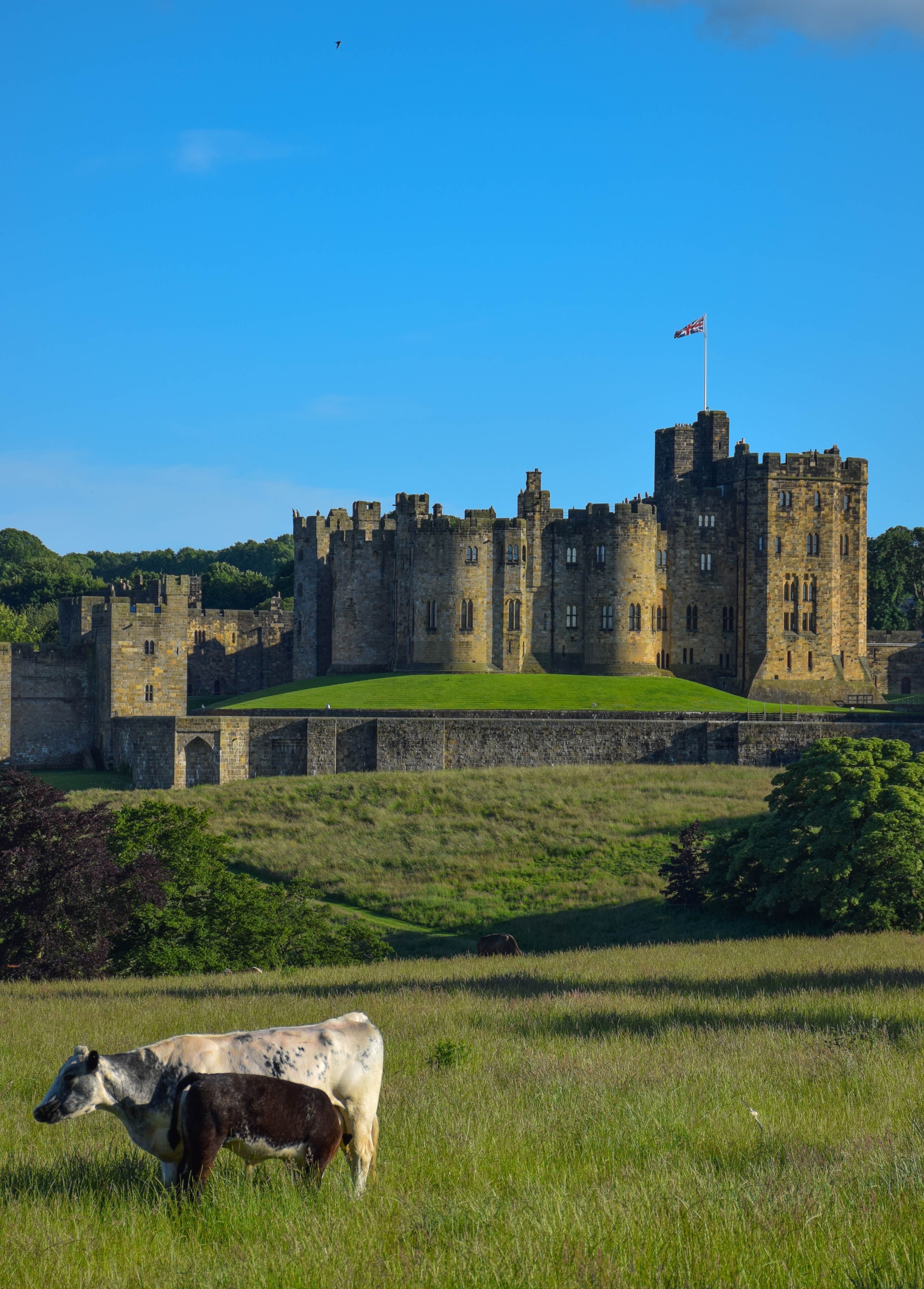 Scotland, England & Wales - The Great UK Road Trip! | Alnwick castle ...