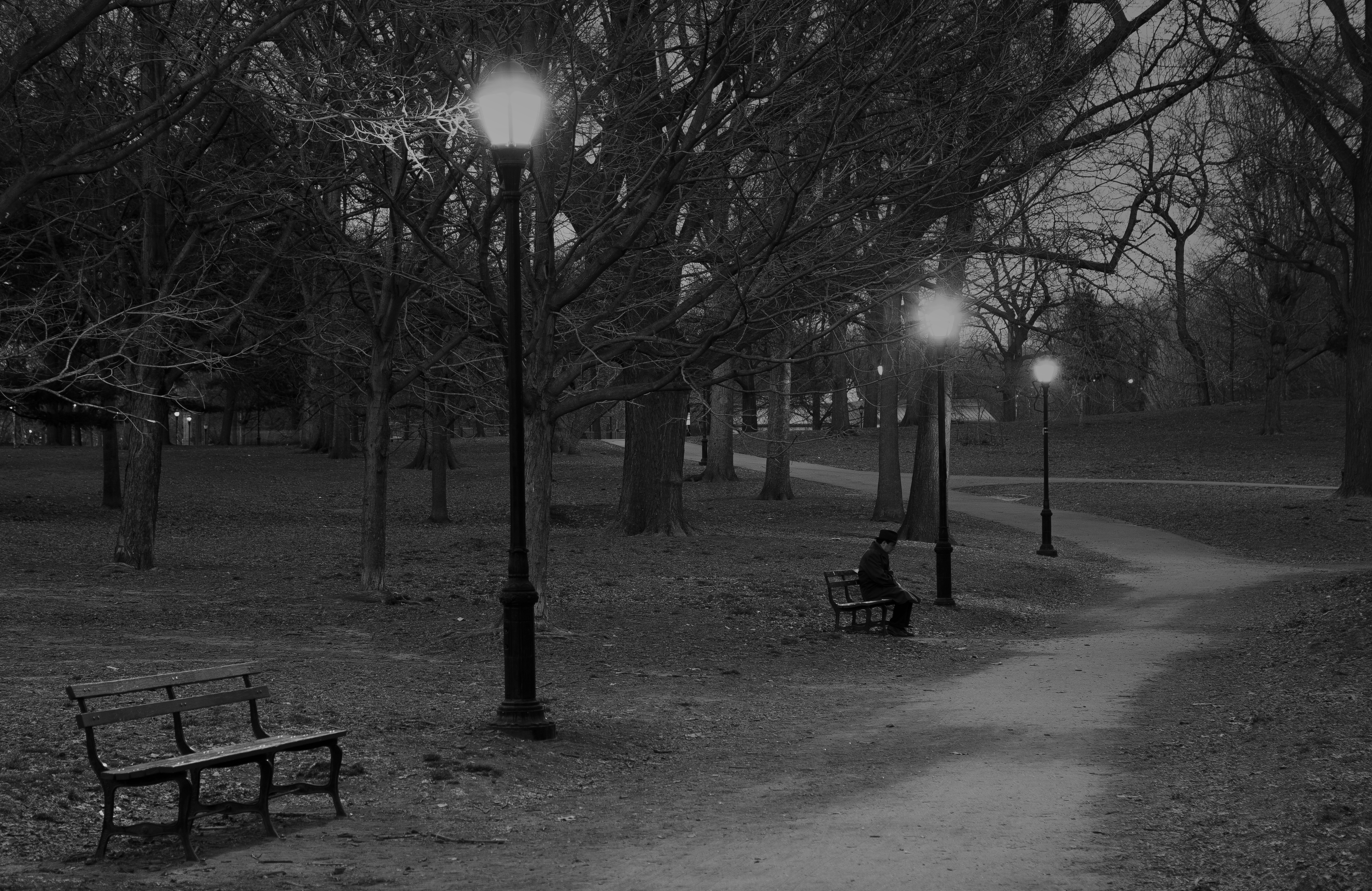 File:Man Sitting Alone in Park.jpg - Wikimedia Commons