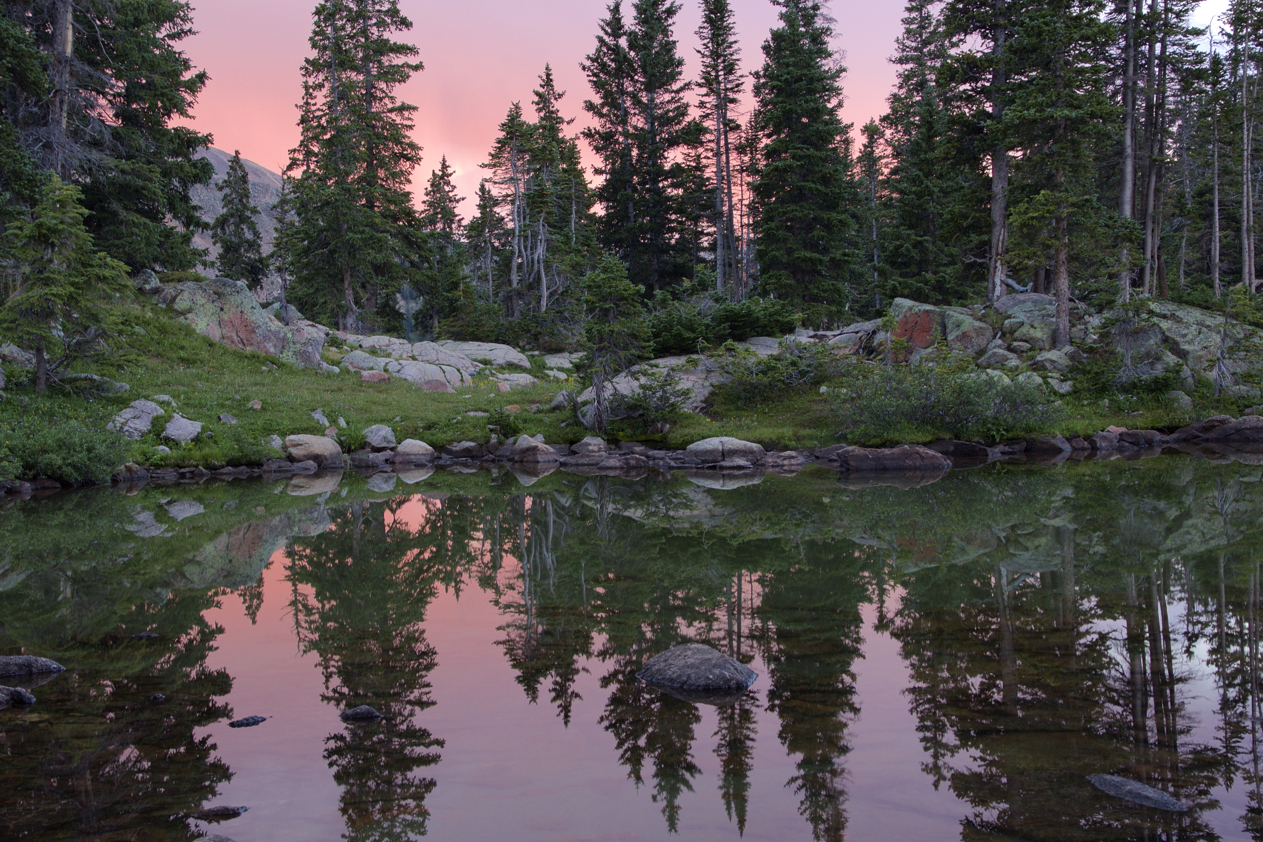 Sunset through the alpine forest of Colorado, - Imgur