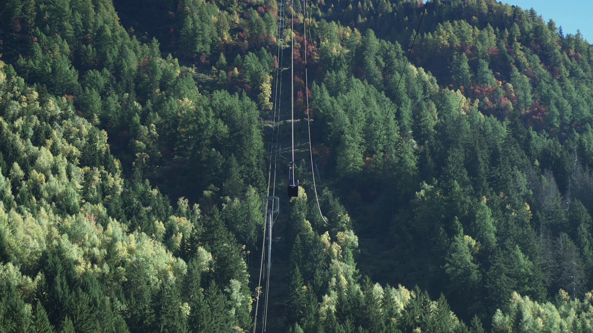 Alpine Forest in Autumn with Cable Car Hanging from Overhead Cables ...