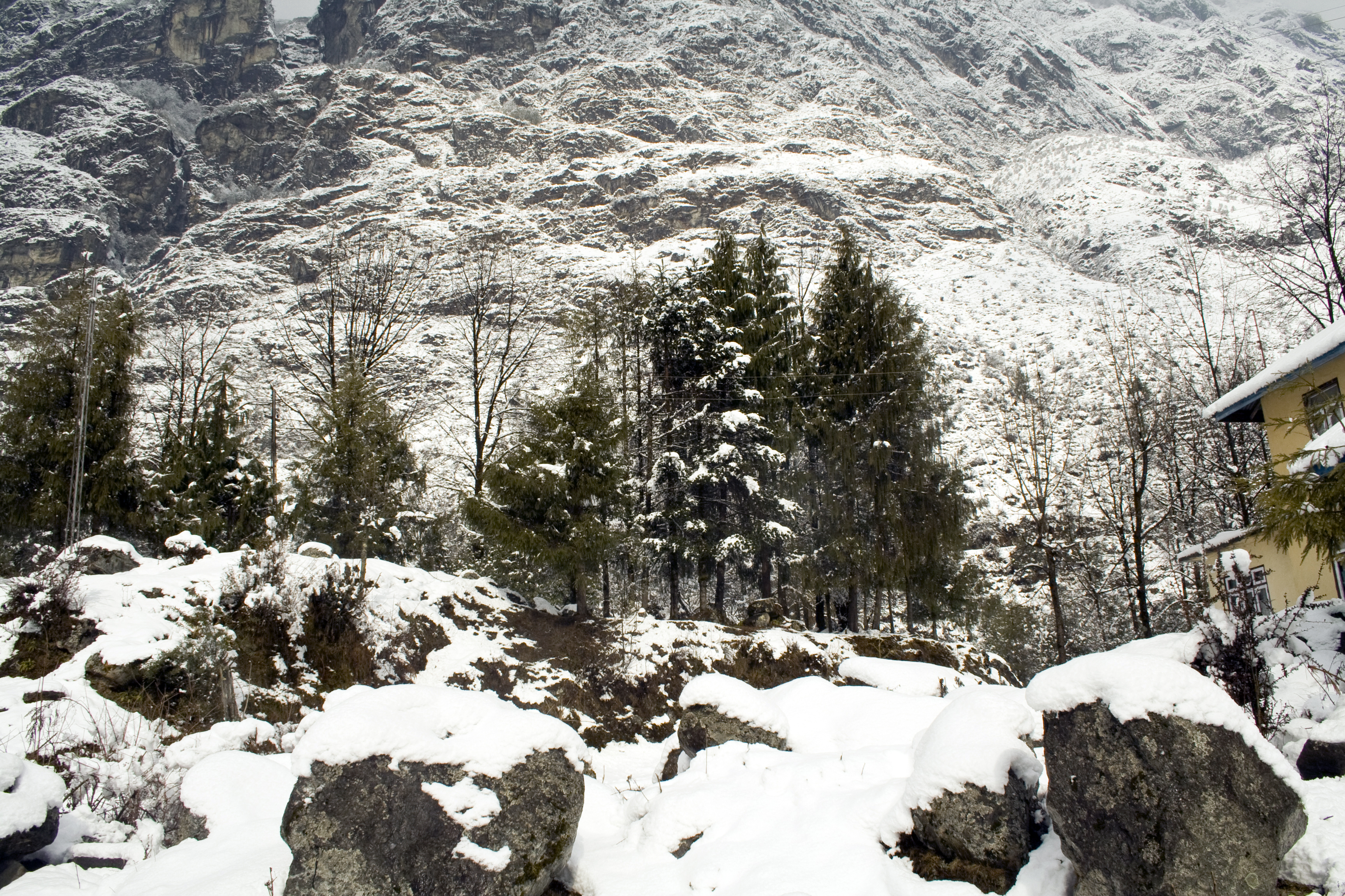 Alpine view photo