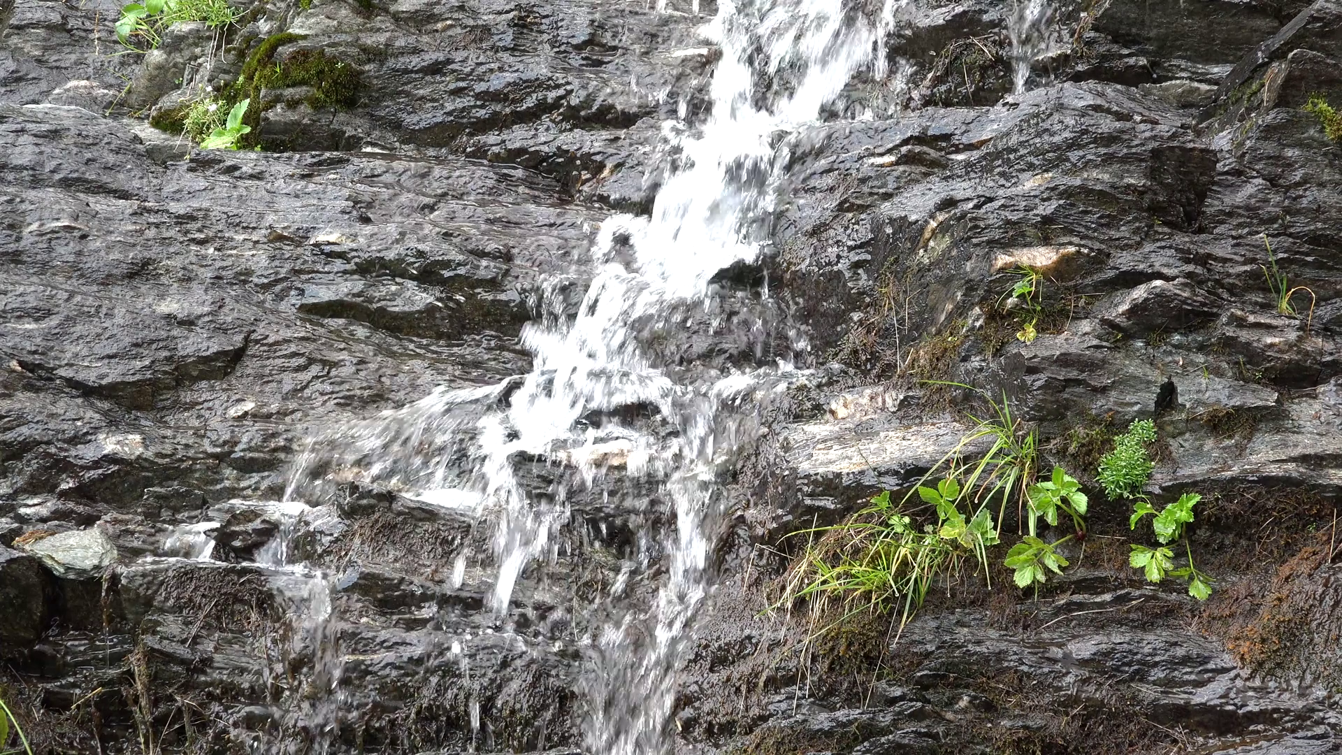 Alpine waterfall detail Stock Video Footage - VideoBlocks