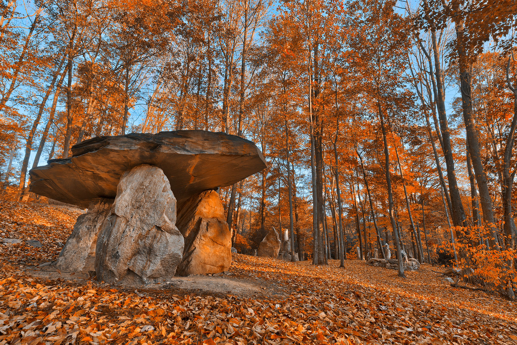 Amber dolmen forest - hdr photo