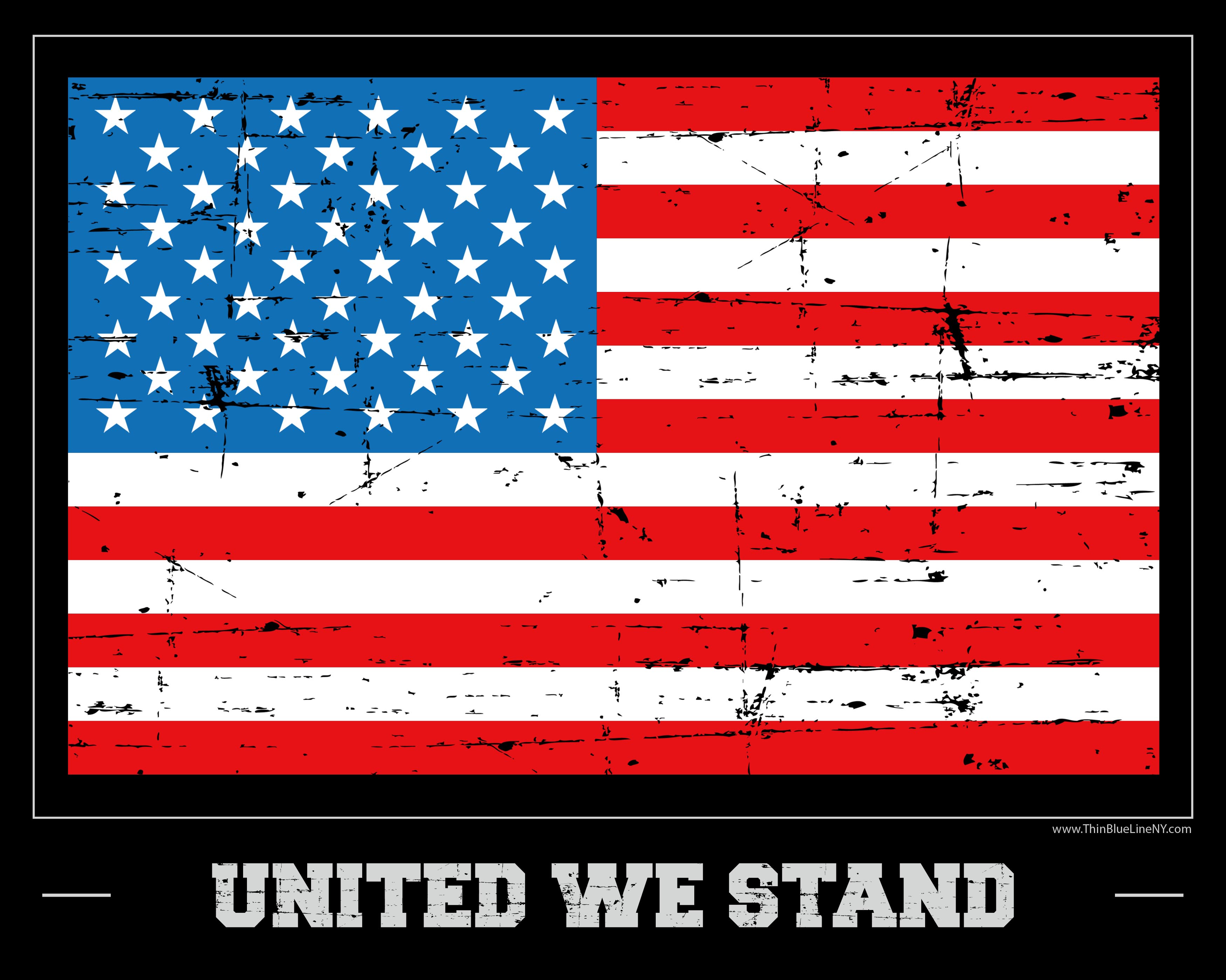 American Flag Print - United We Stand - 8