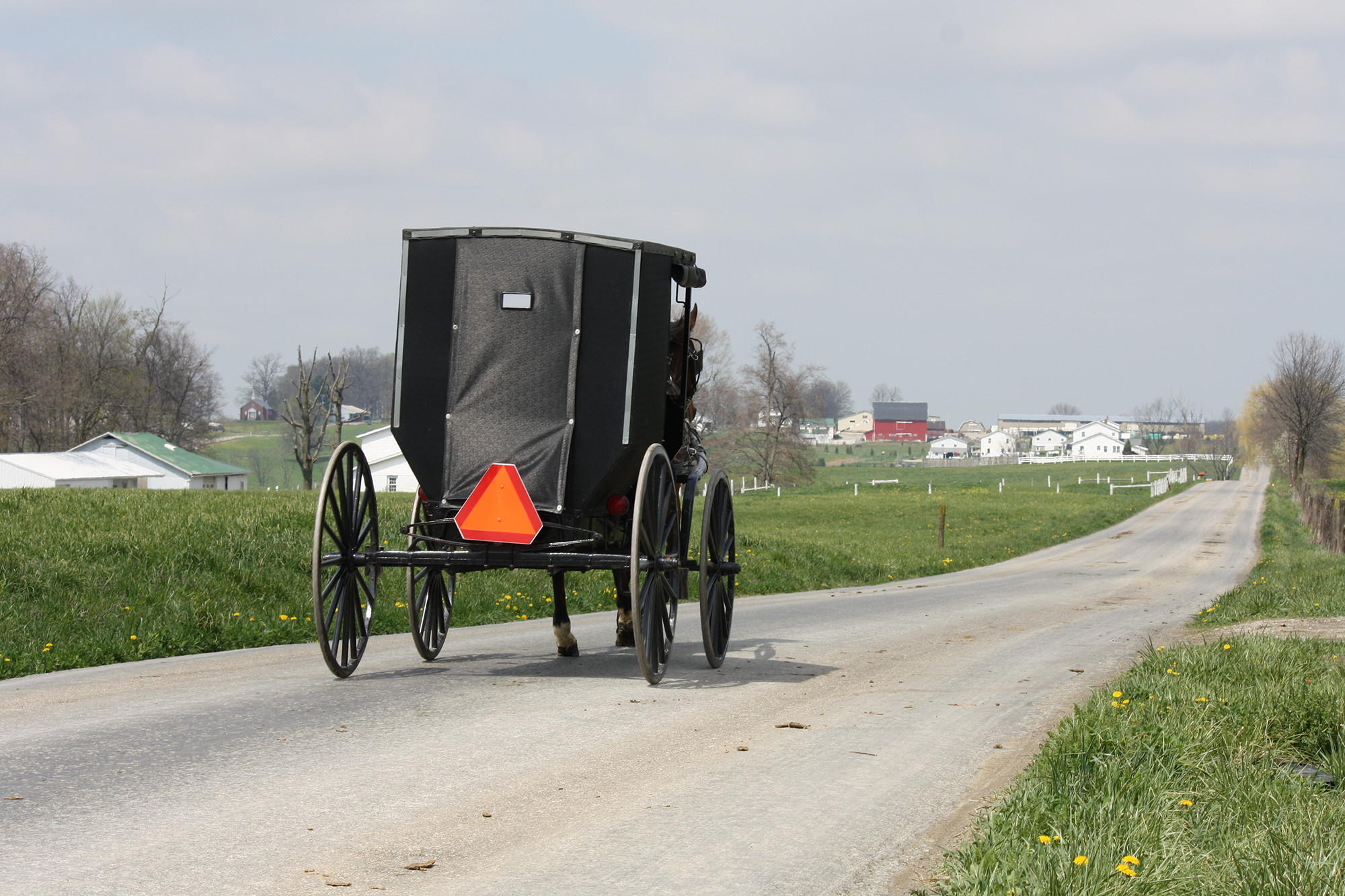 Woman dies after truck crashes into back of Amish buggy