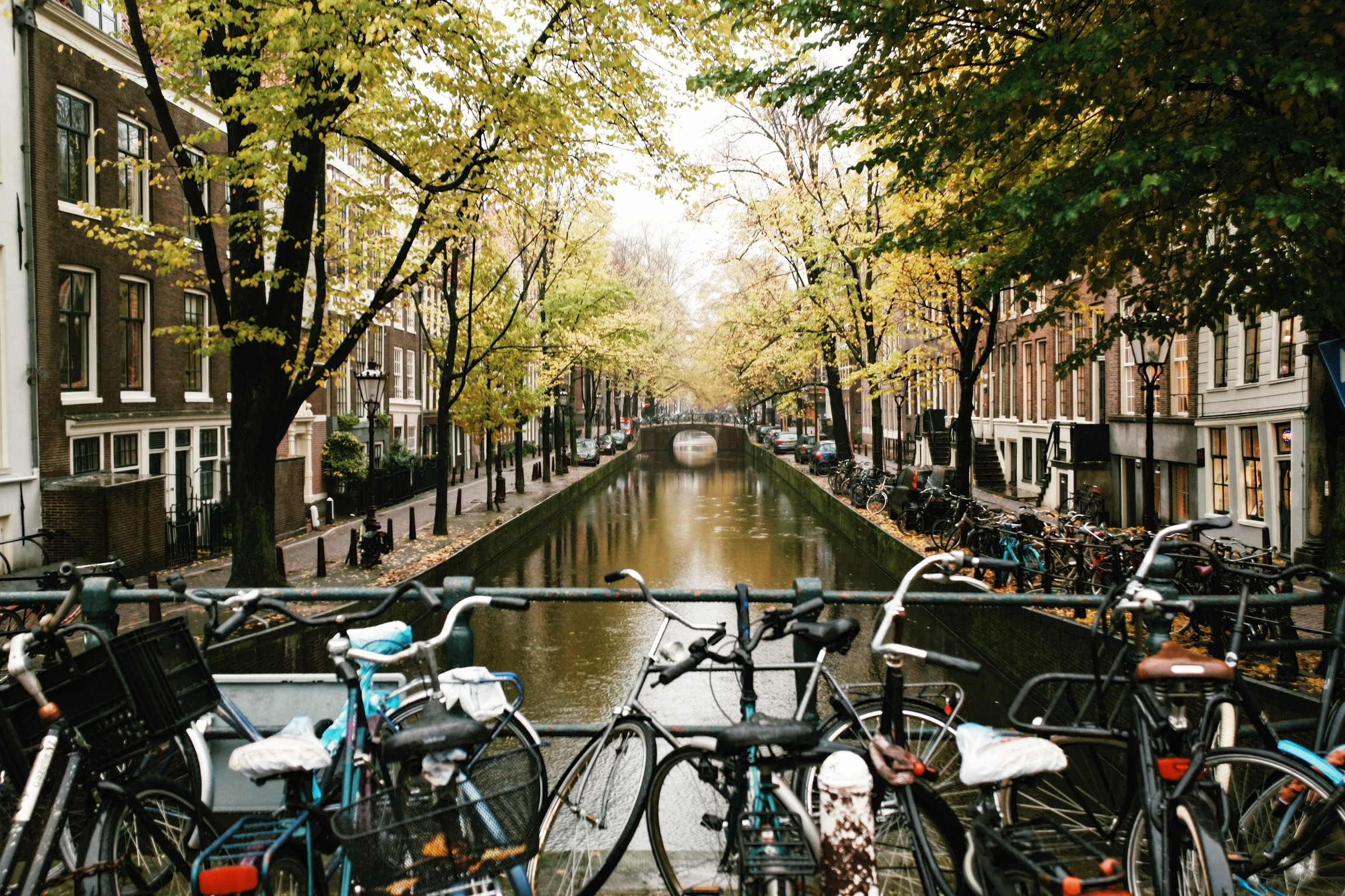 Babylon City Tours | Guided Amsterdam Tours | Amsterdam Walking Tours