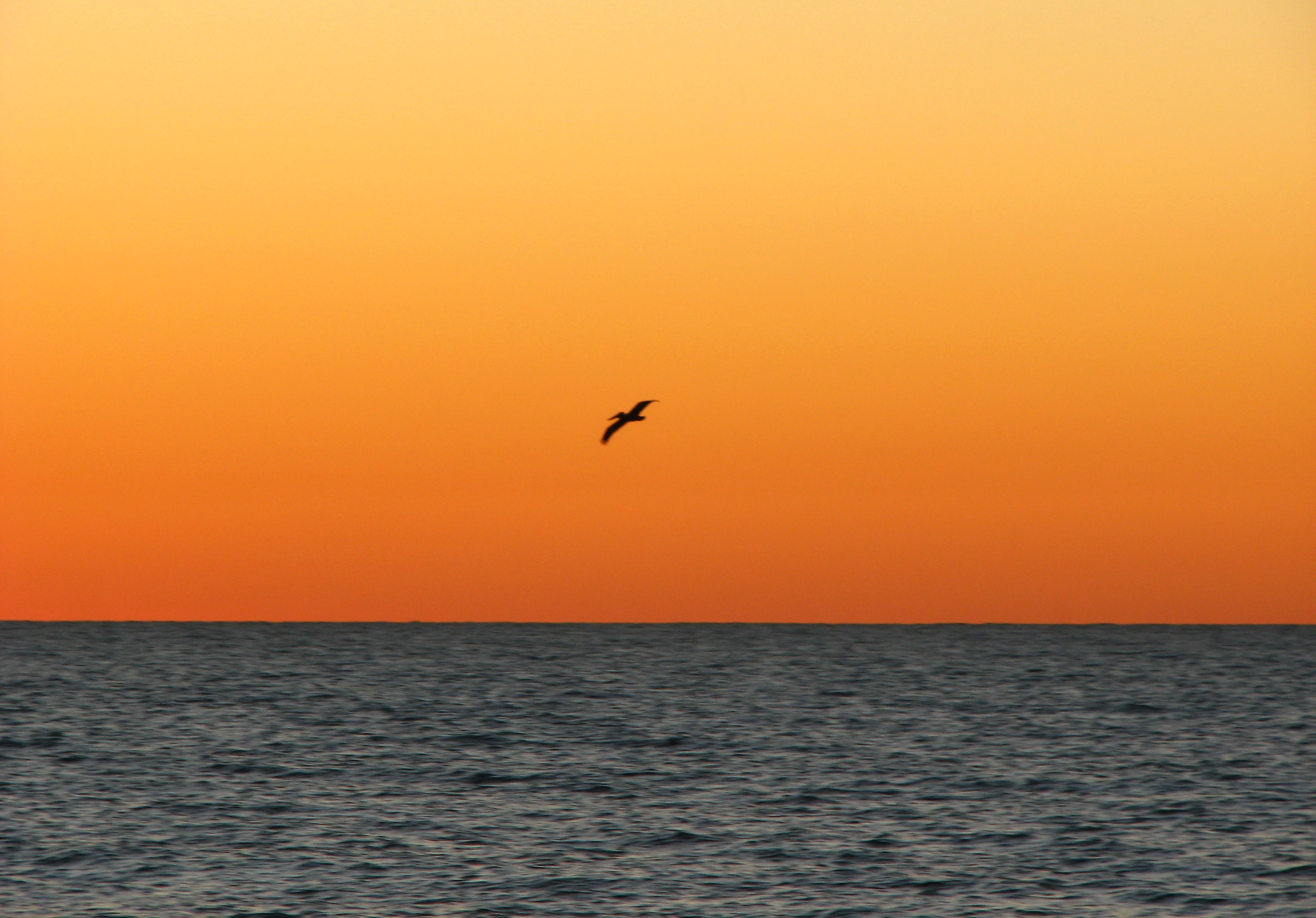 An ocean sunset landscape photo