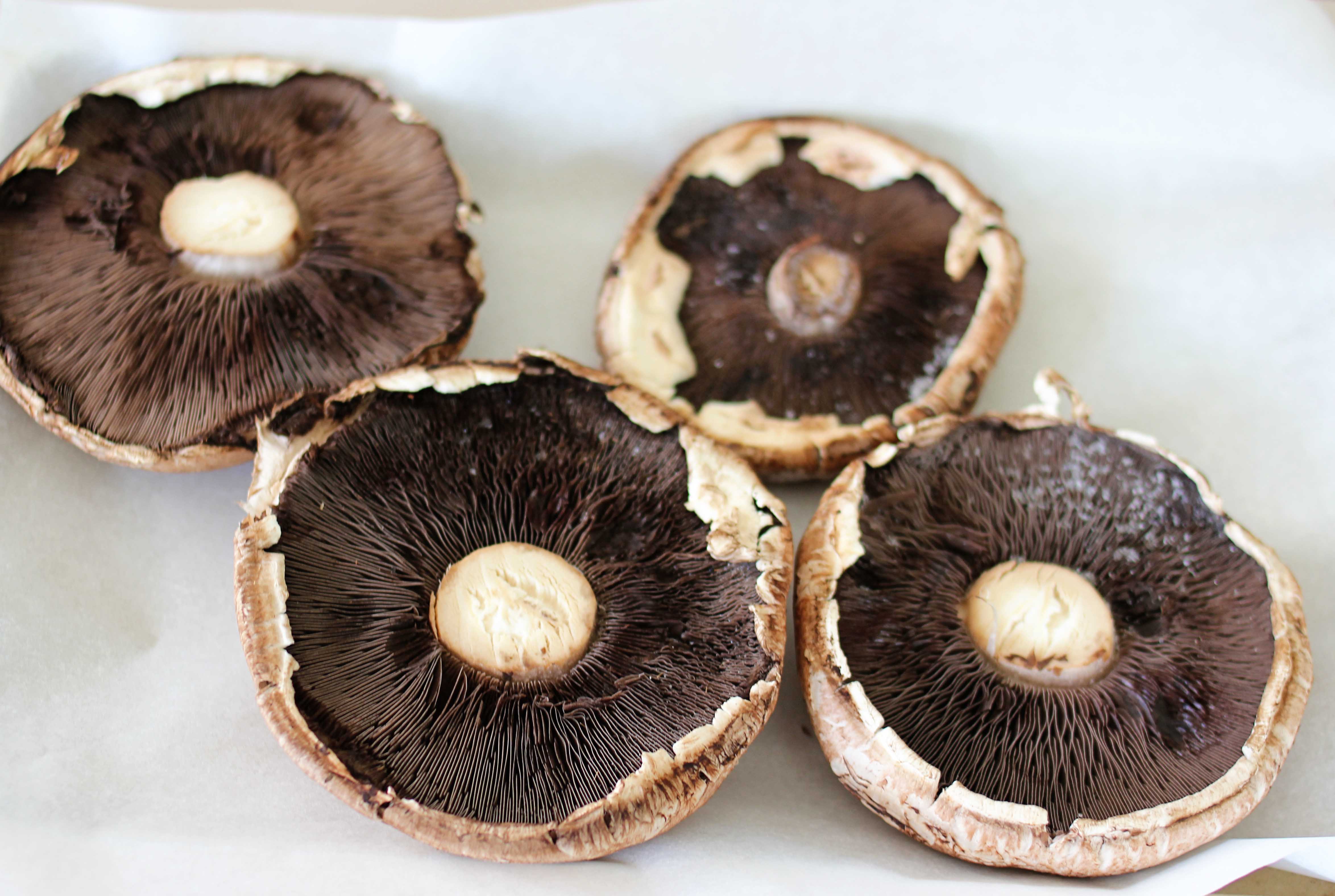 An old mushroom photo