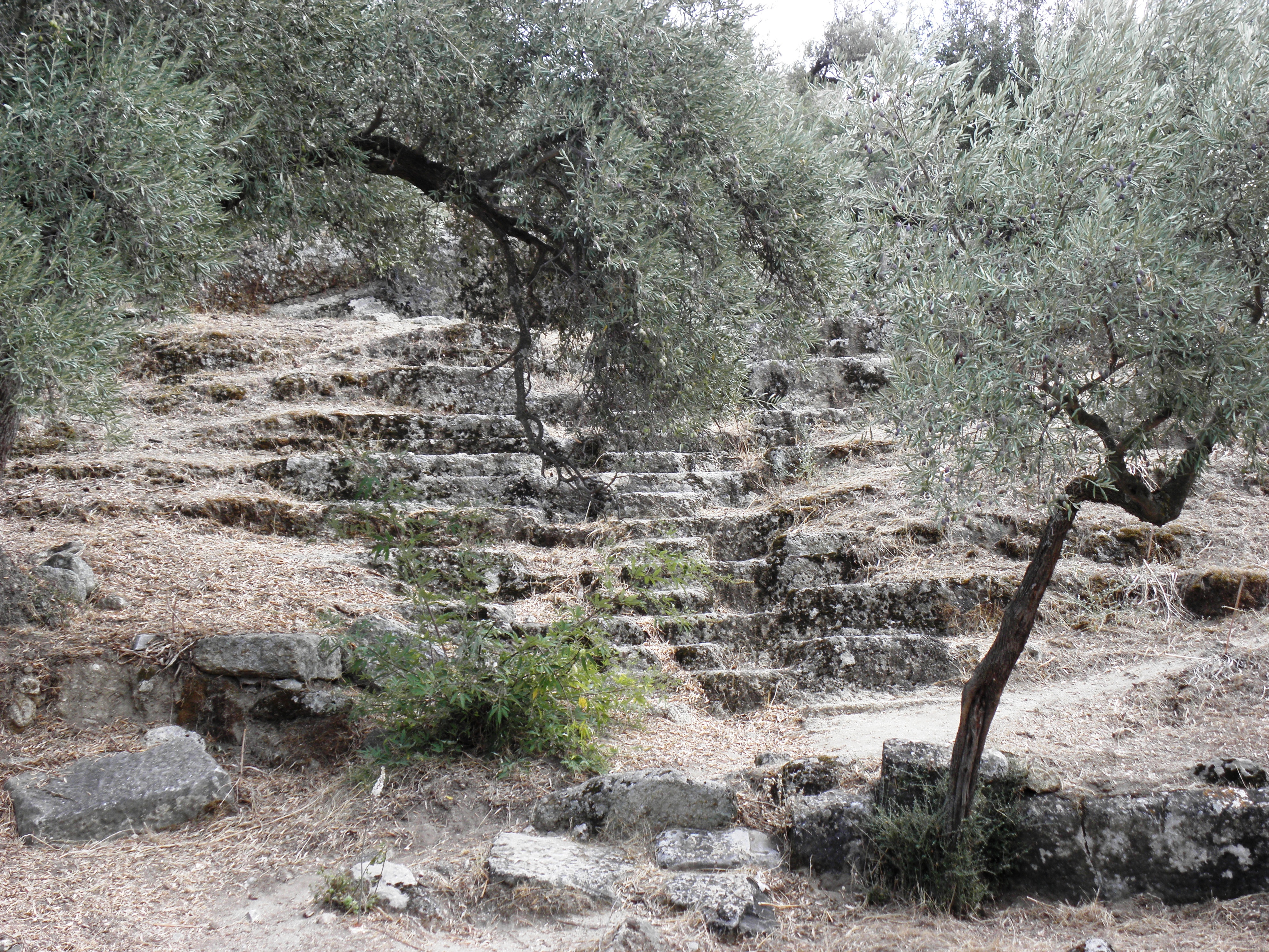 Ancient amphitheater in herakleia photo