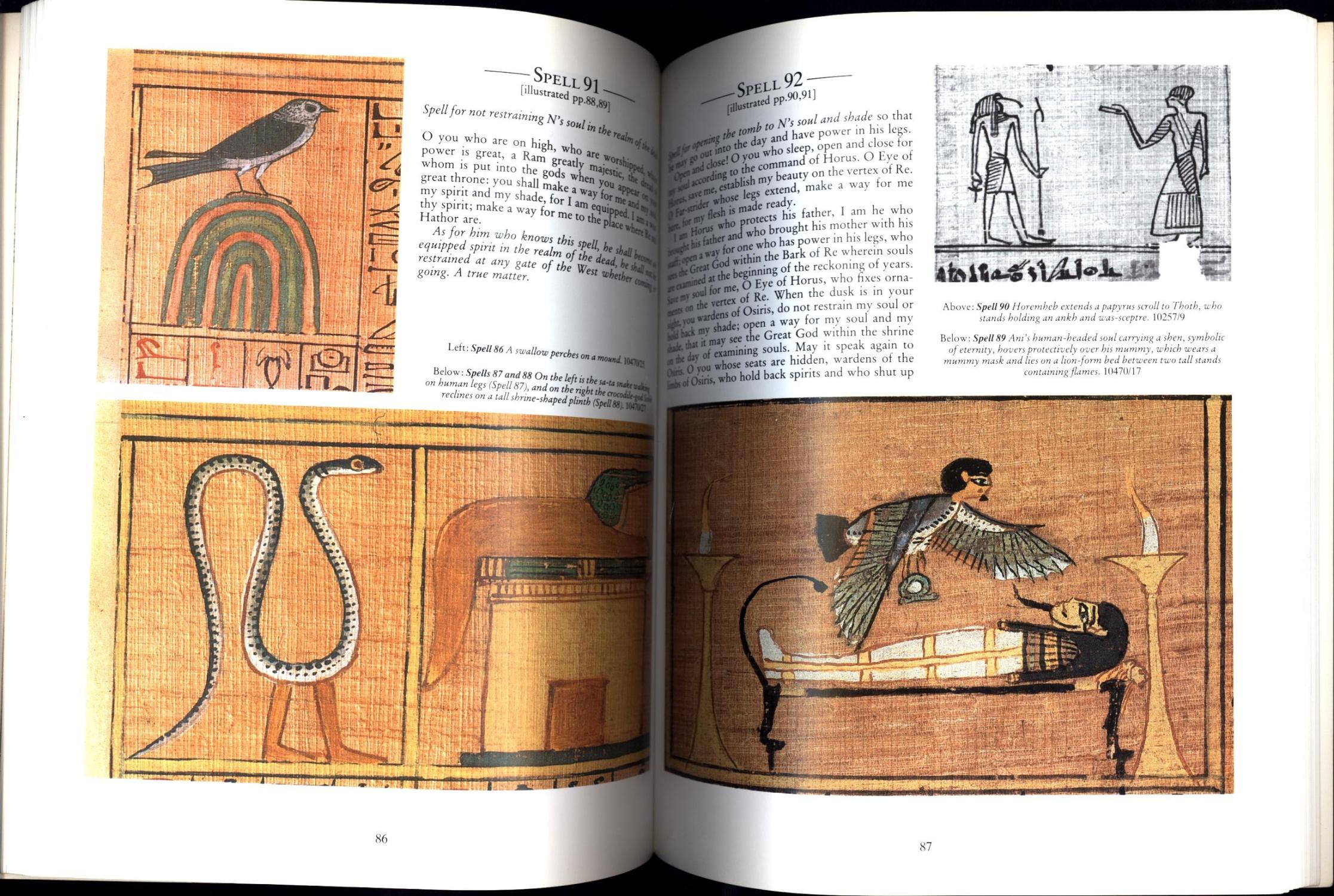 The Ancient Egyptian Book of the Dead by Faulkner, Raymond O ...