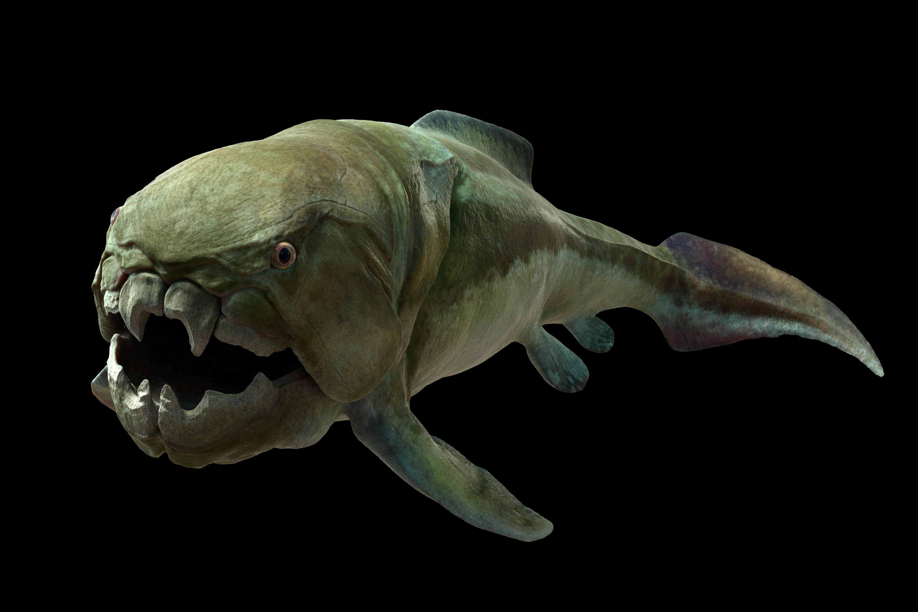 river monsters prehistoric fish - Google Search | Monsters N Dinos ...