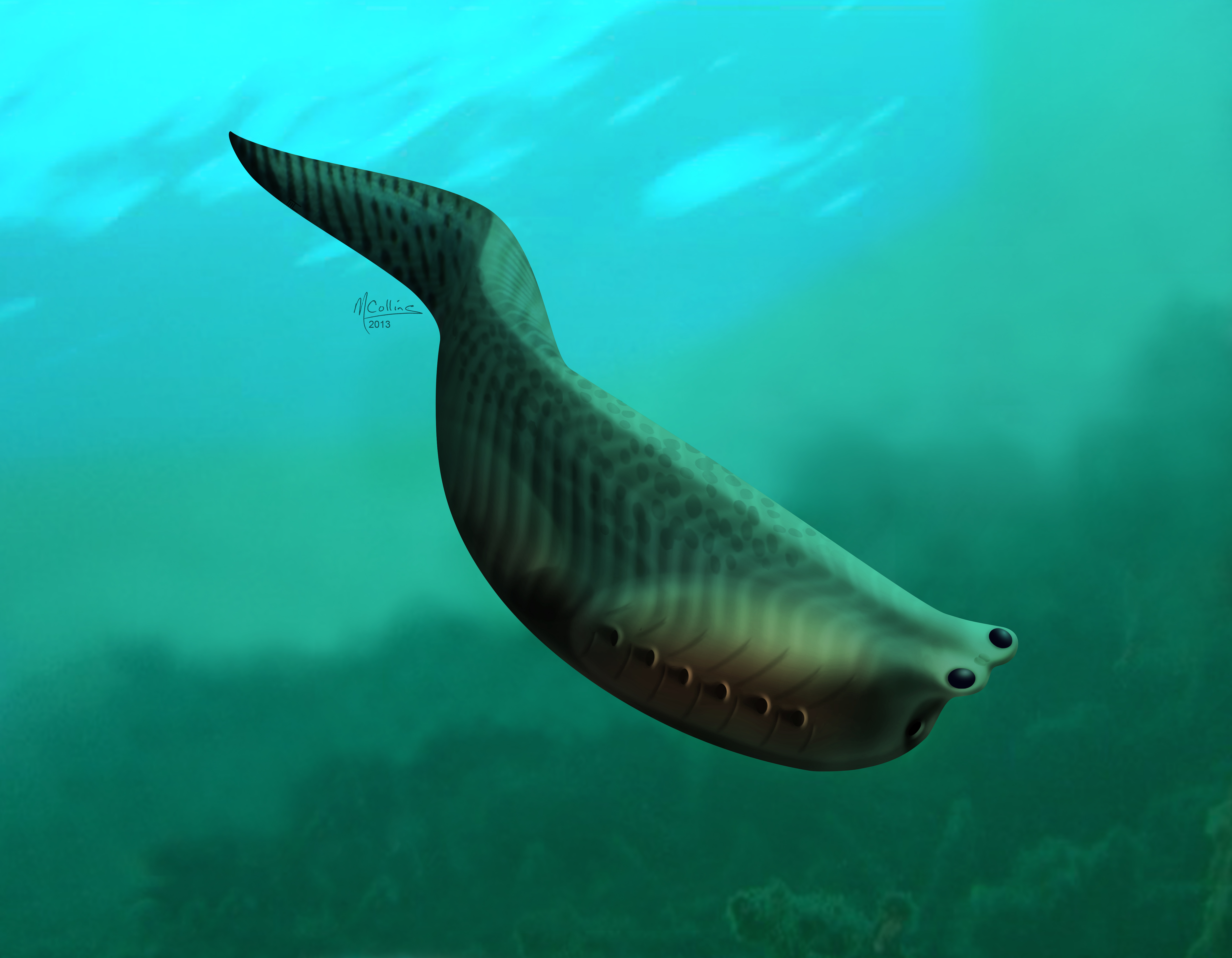 The Oldest Fish in the World Lived 500 Million Years Ago - D-brief
