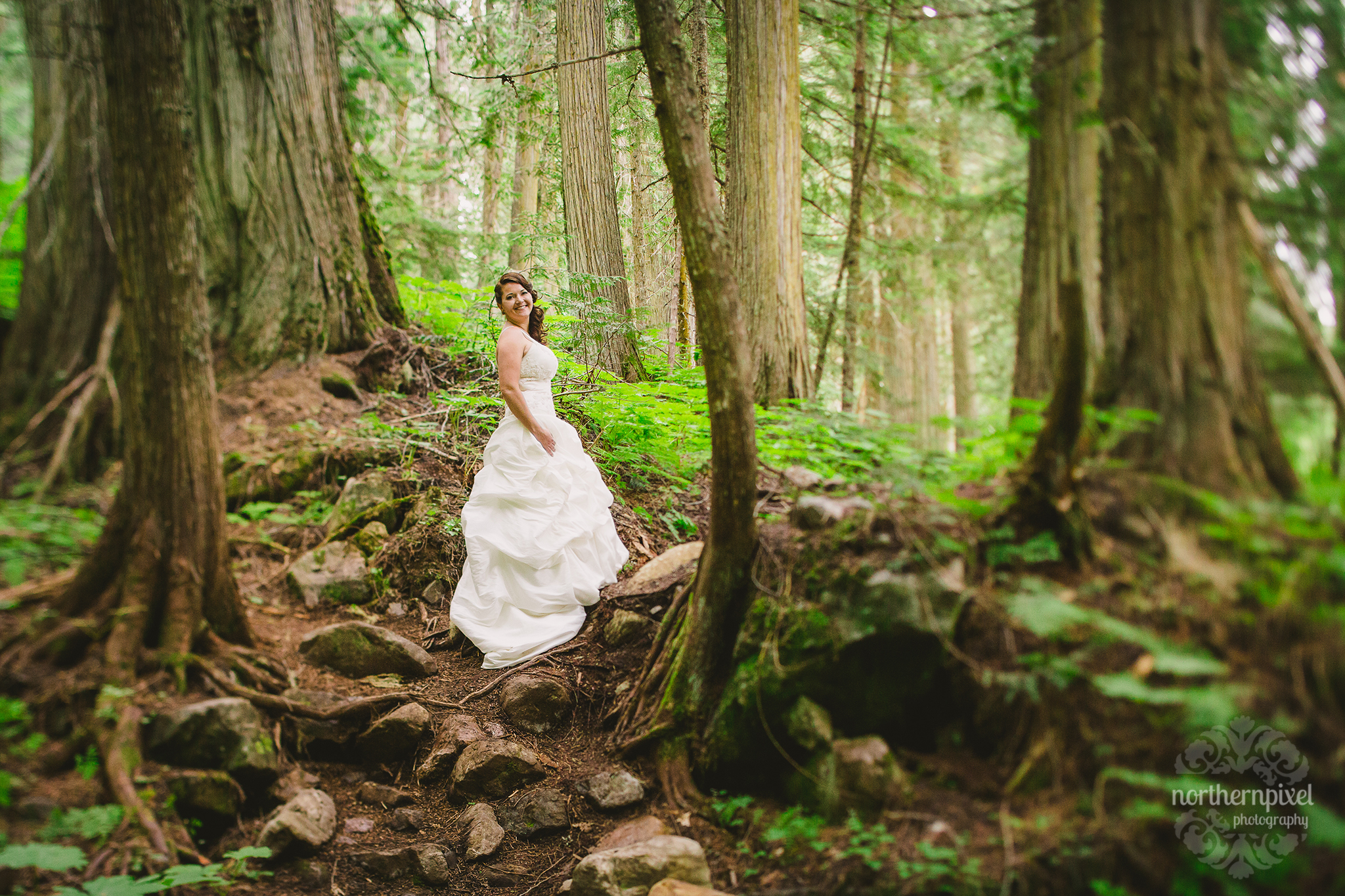 Ancient Forest Wedding | Northern Pixel Photography