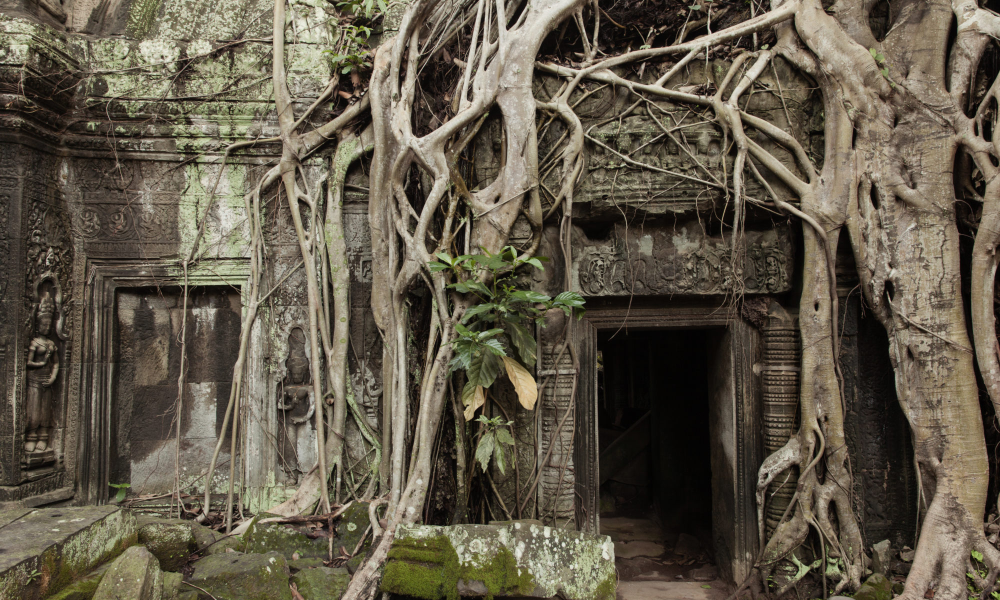 Ancient ruins of Angkor hidden in the jungle of Cambodia — travelust.me