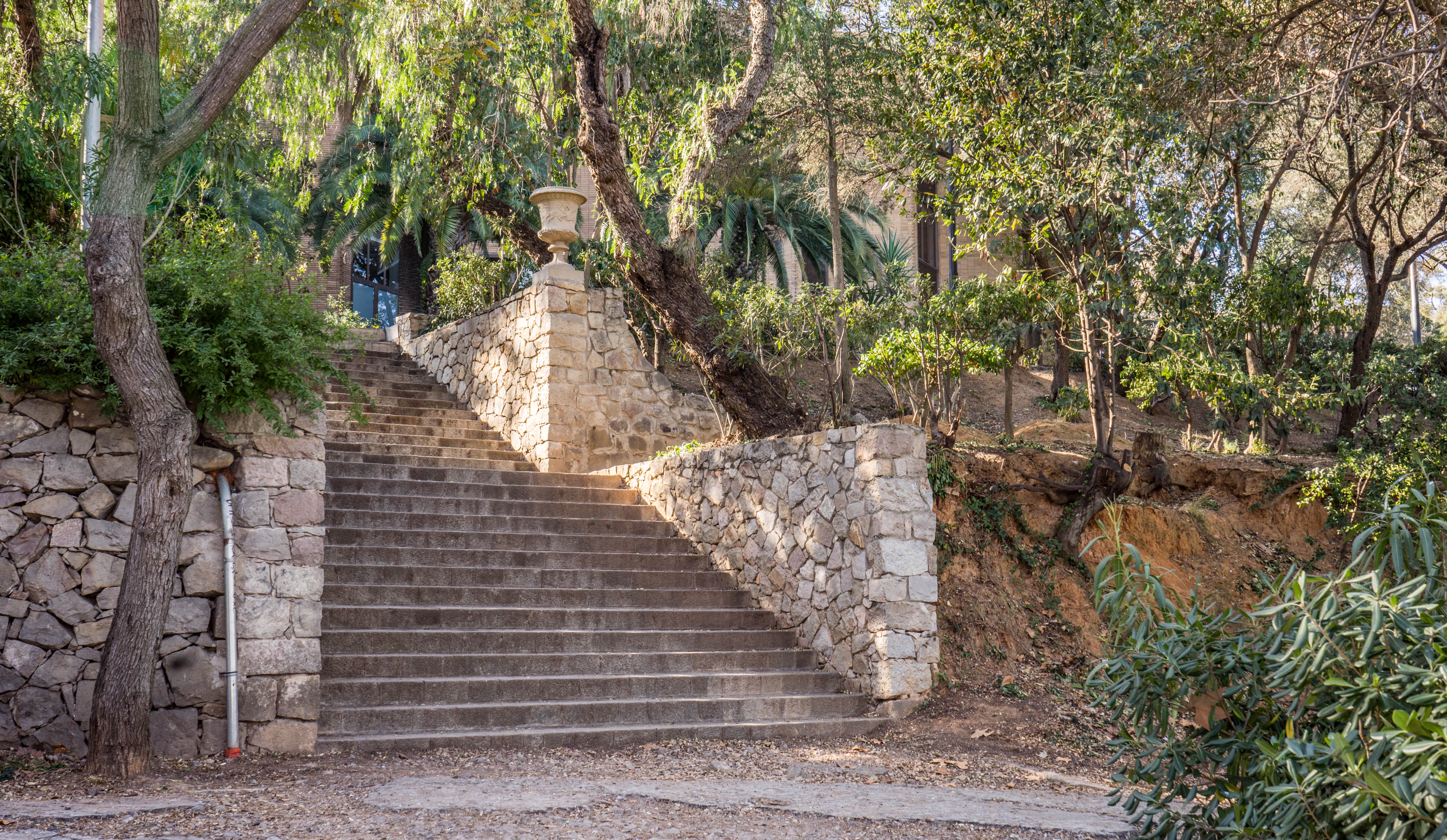 Free Images : landscape, tree, nature, outdoor, wall, steps ...