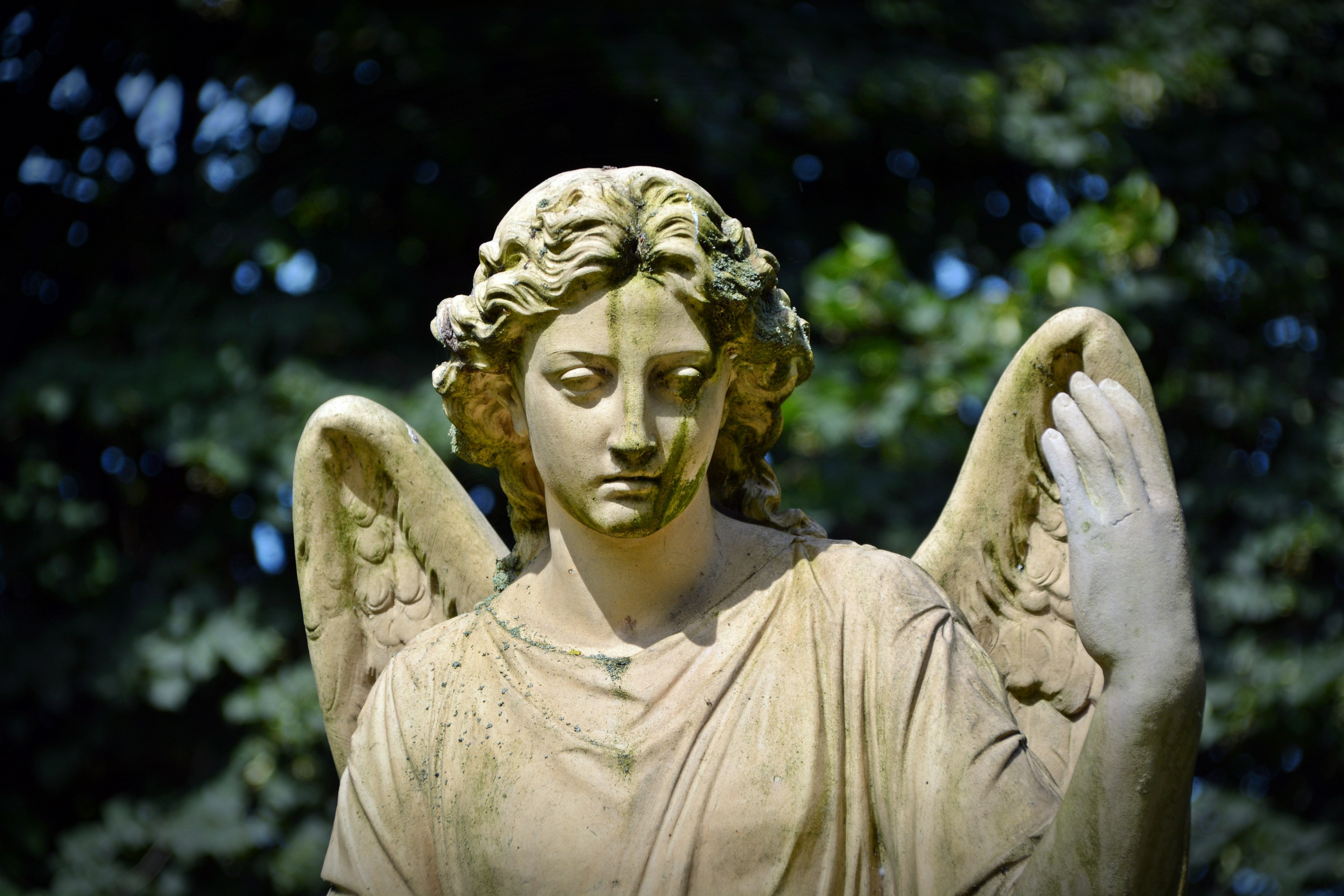 angel #figure #mourning #hope #sculpture #face #statue 4k wallpaper ...
