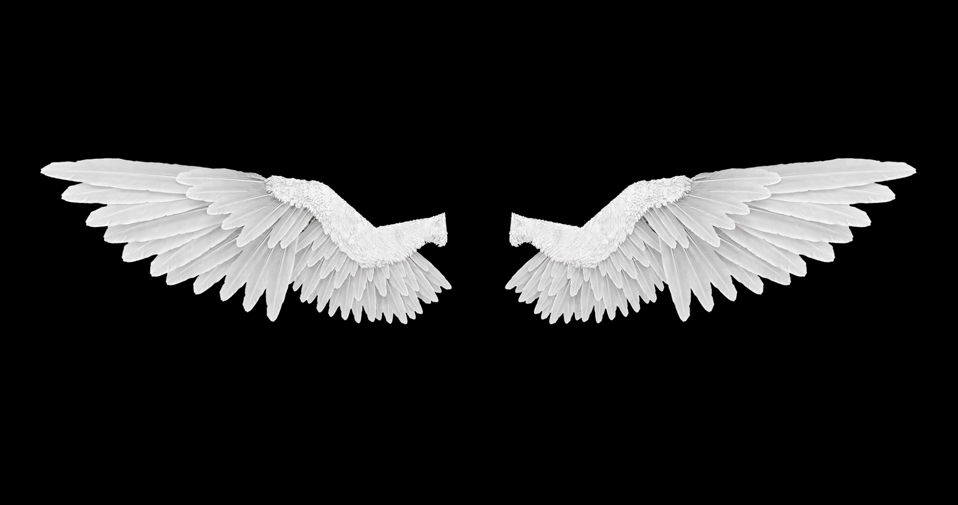 White angel wings with an alpha channel Motion Background - Videoblocks